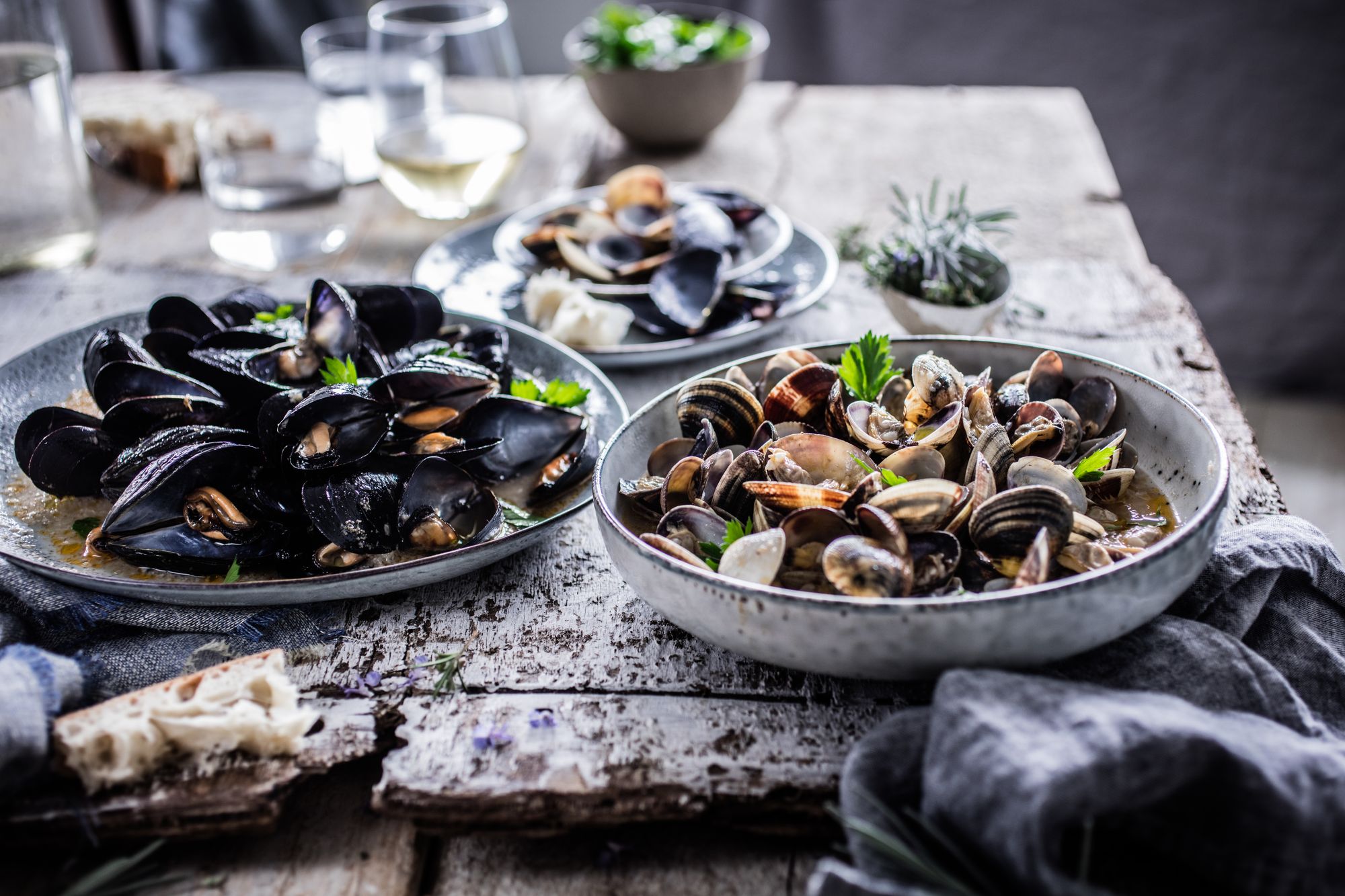 Sample mussels cooked “buzara” style in garlic, white wine and parsley
