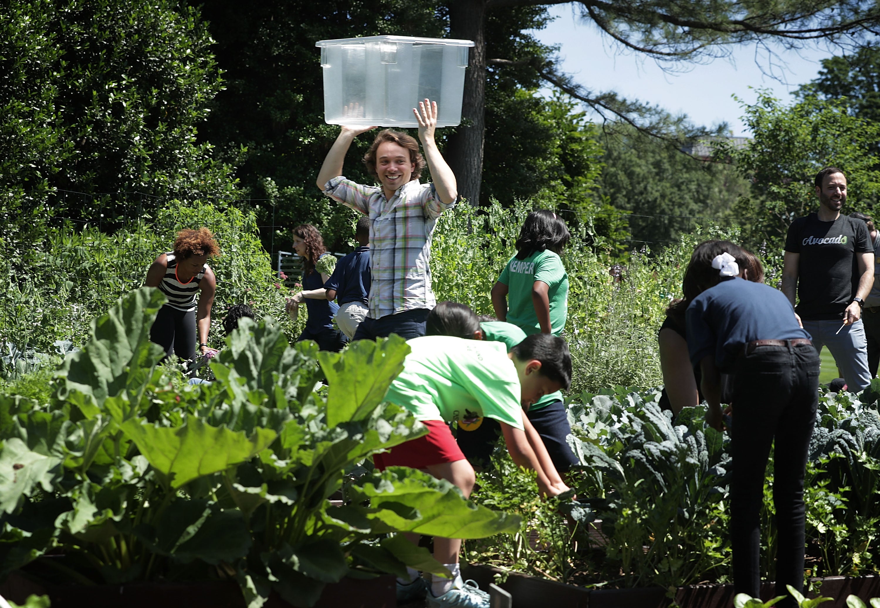 Gardening is a soothing activity that lowers levels of the stress hormone cortisol