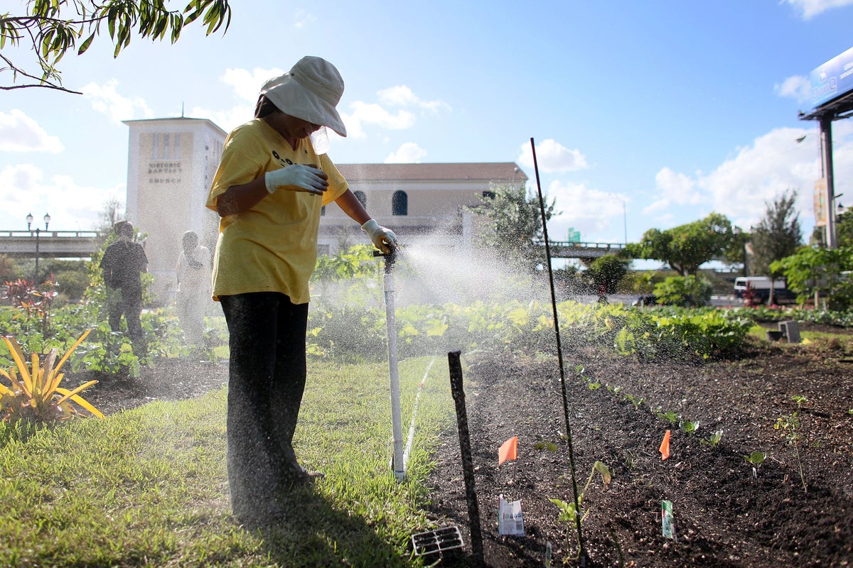 The springtime pastime that can keep your brain and body healthy