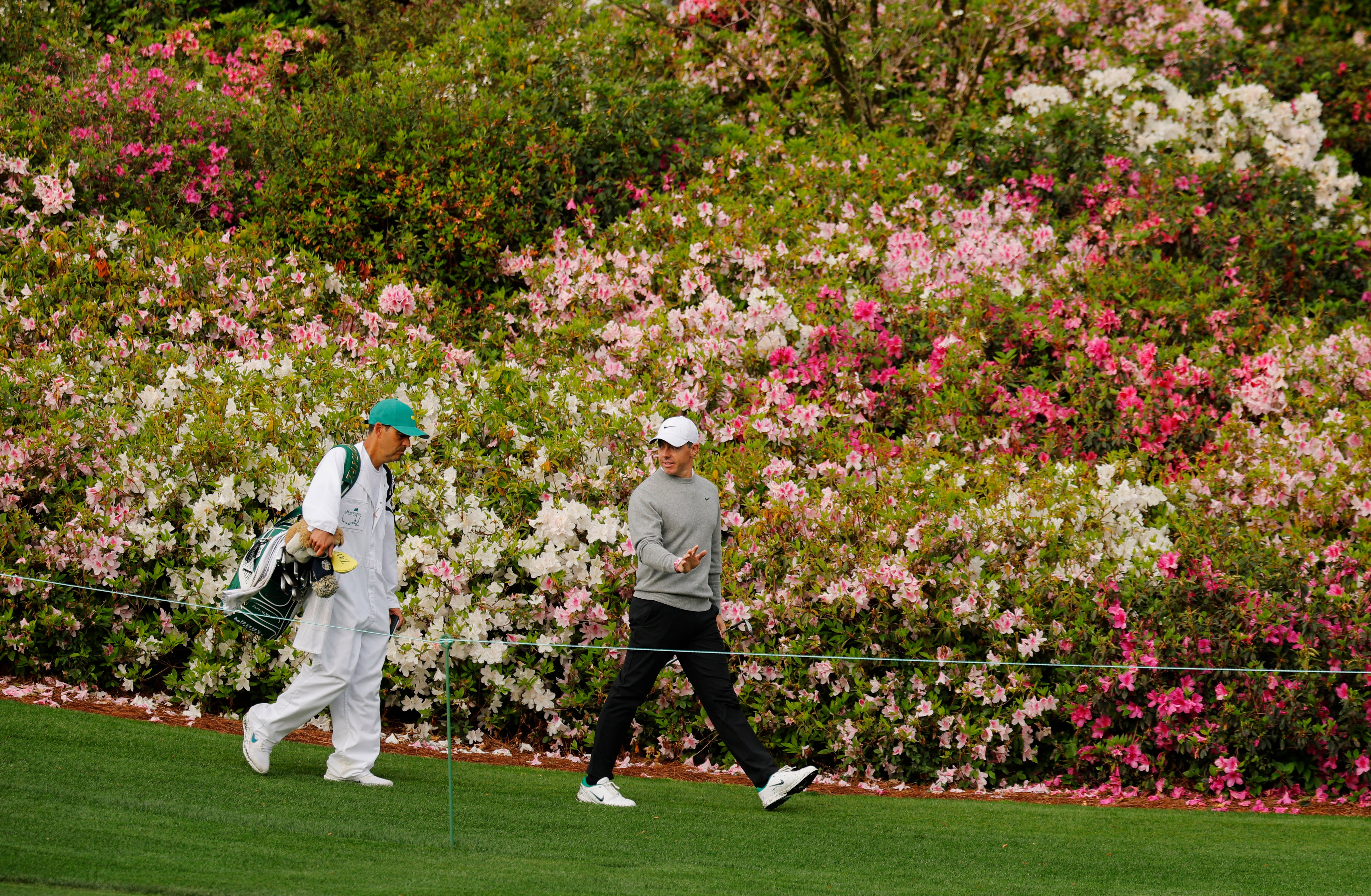 Augusta's green and pink hues are the canvas for golf's greatest tournament