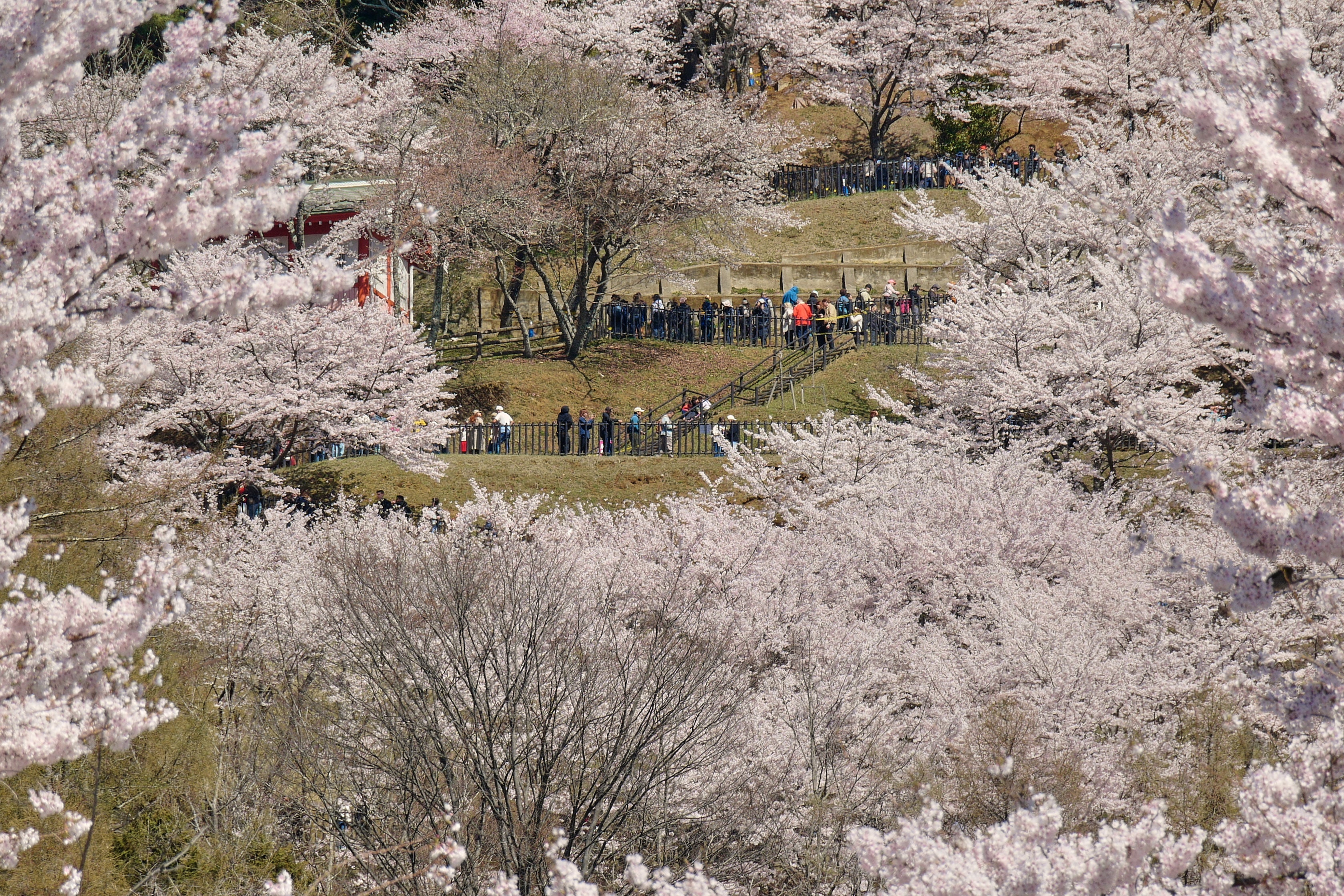 Tourists face hours-long lines to access the most scenic spots