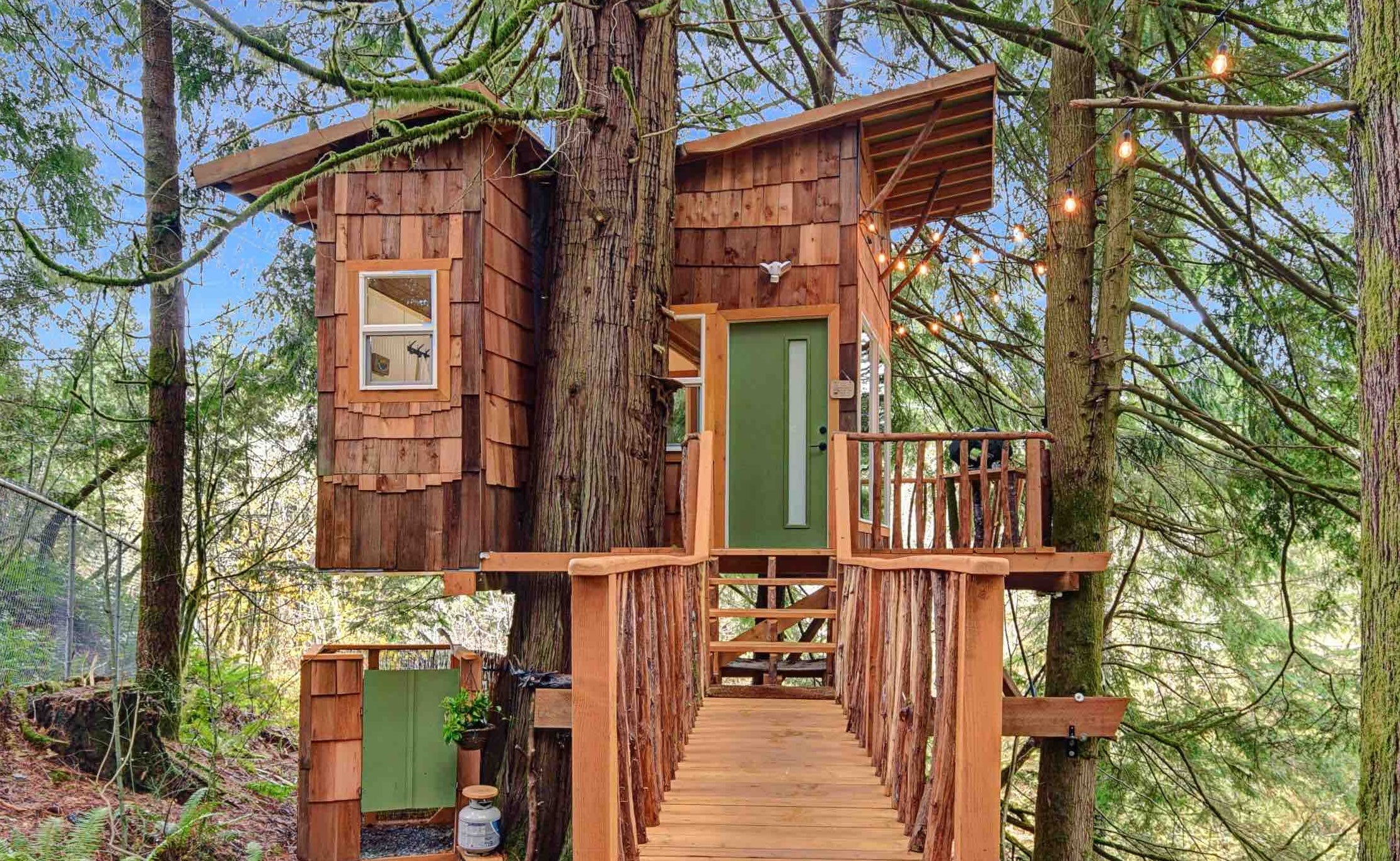 One guest said she ‘felt like a fairy in a fairytale’ while staying in this treehouse