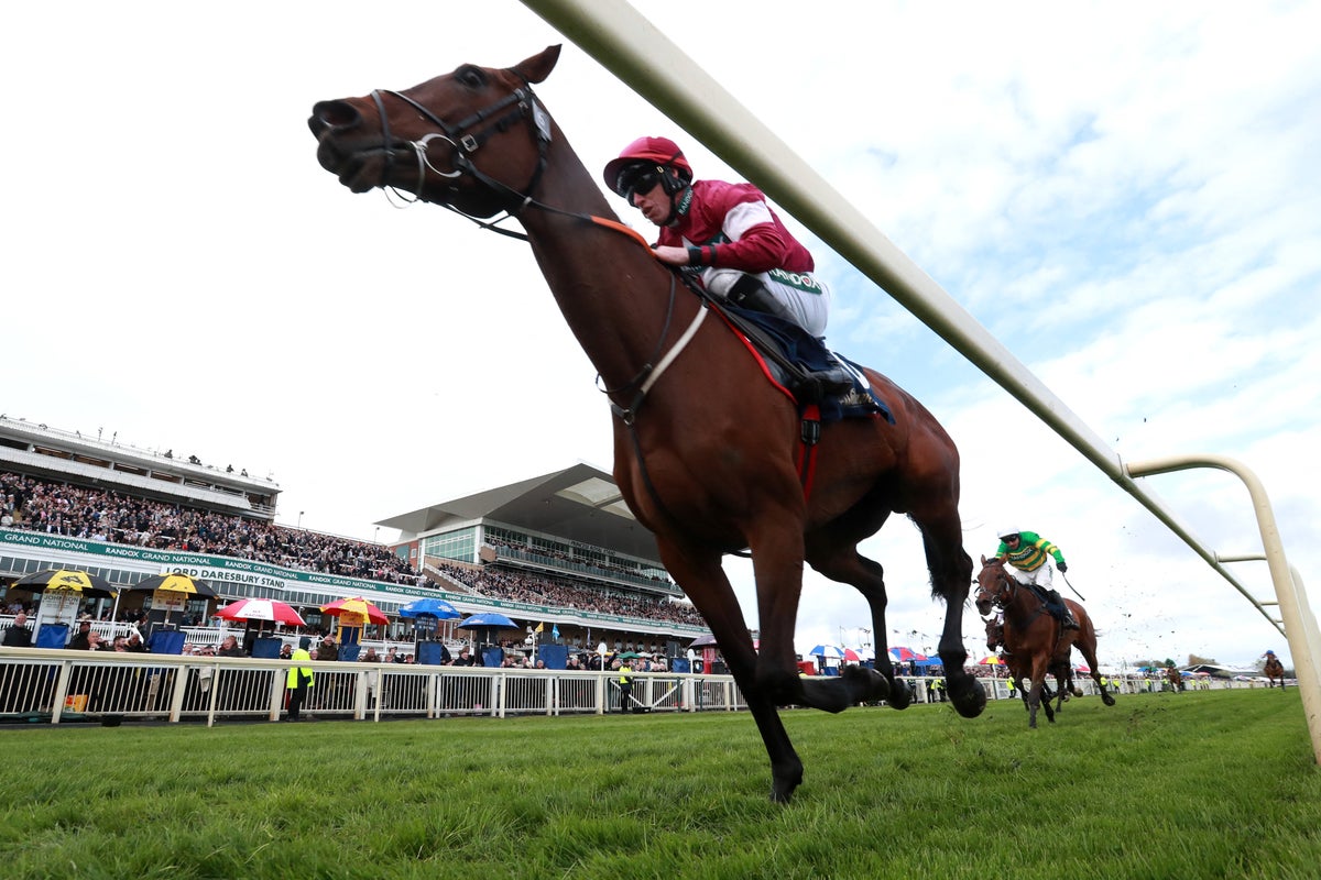 Grand National places: Best Grand National betting sites for each way places