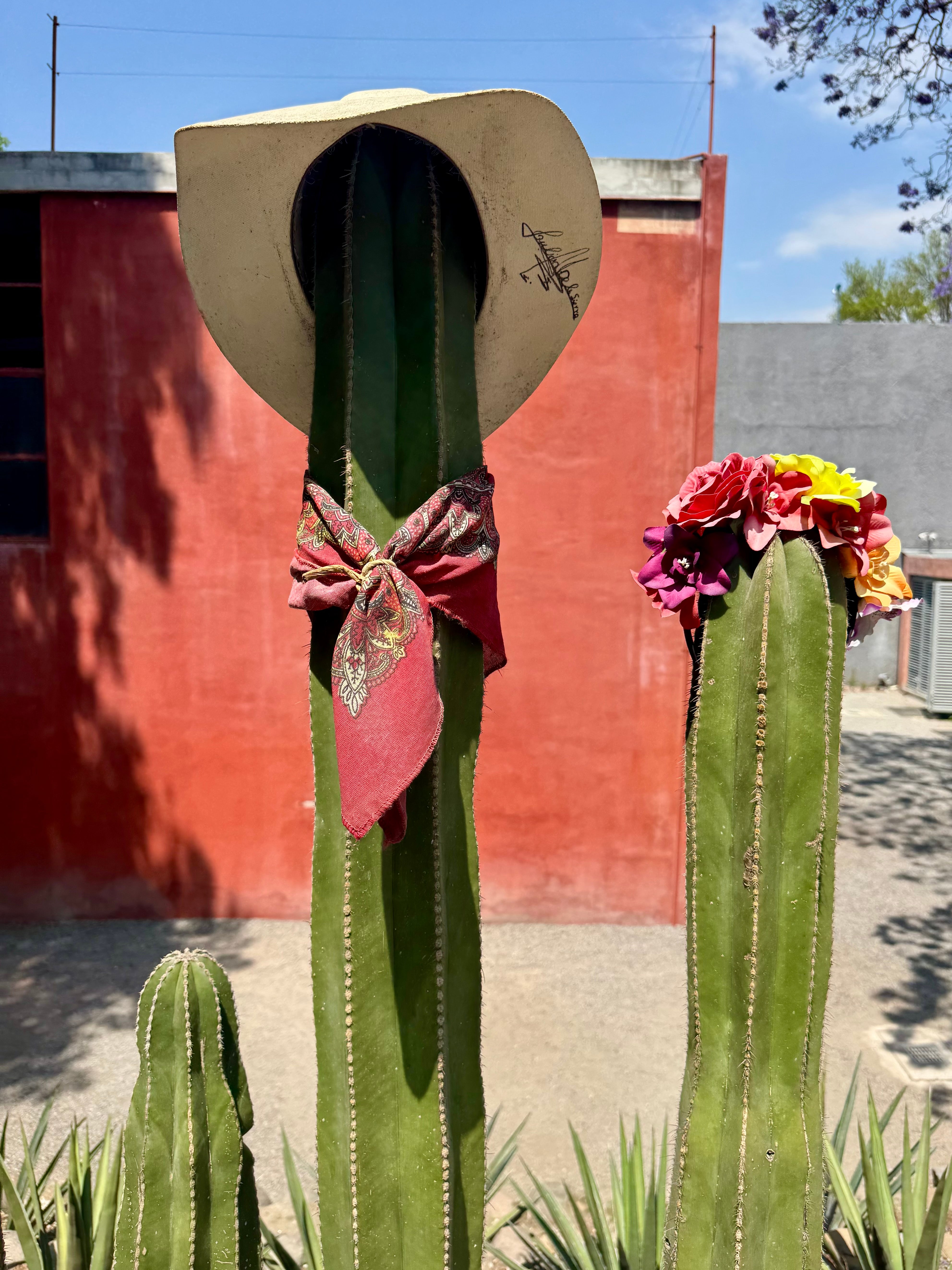 Casa Estudio Diego Rivera y Frida Kahlo offers insight into the couple’s volatile dynamic (Sara Darling)