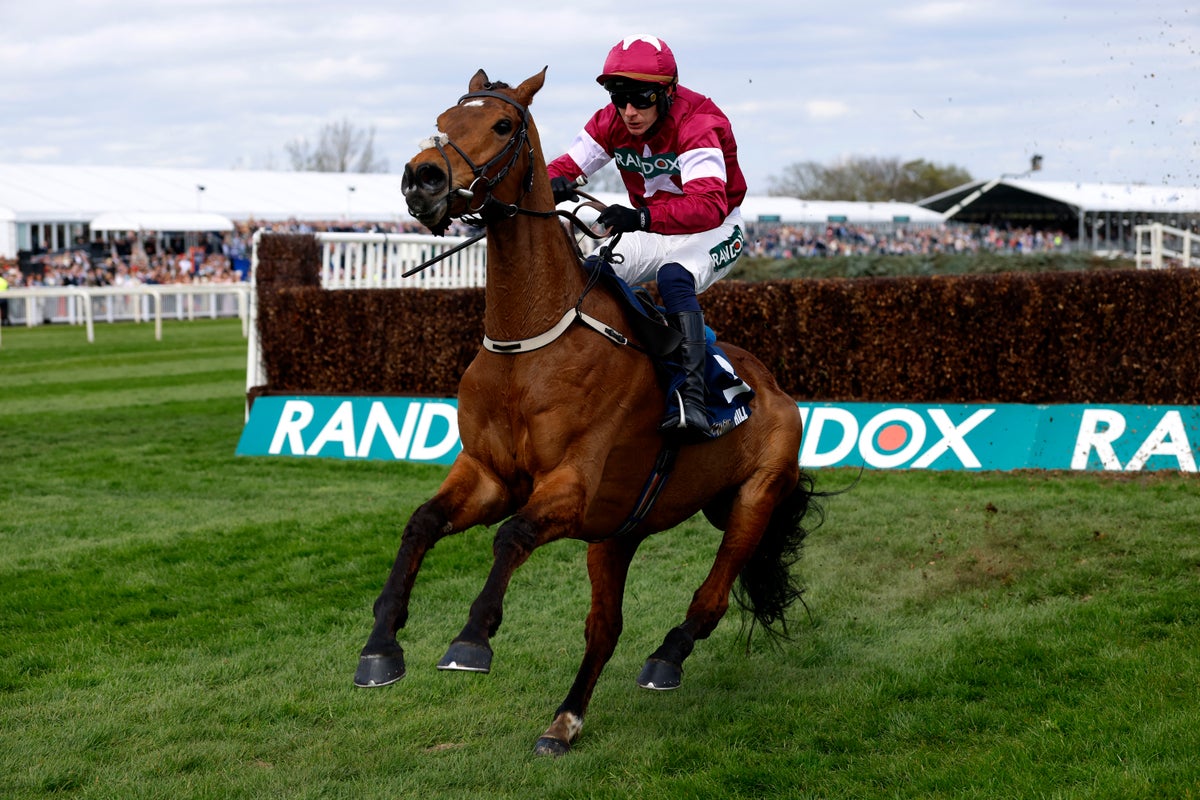 Tragedy as horse dies at Aintree moments after winning race