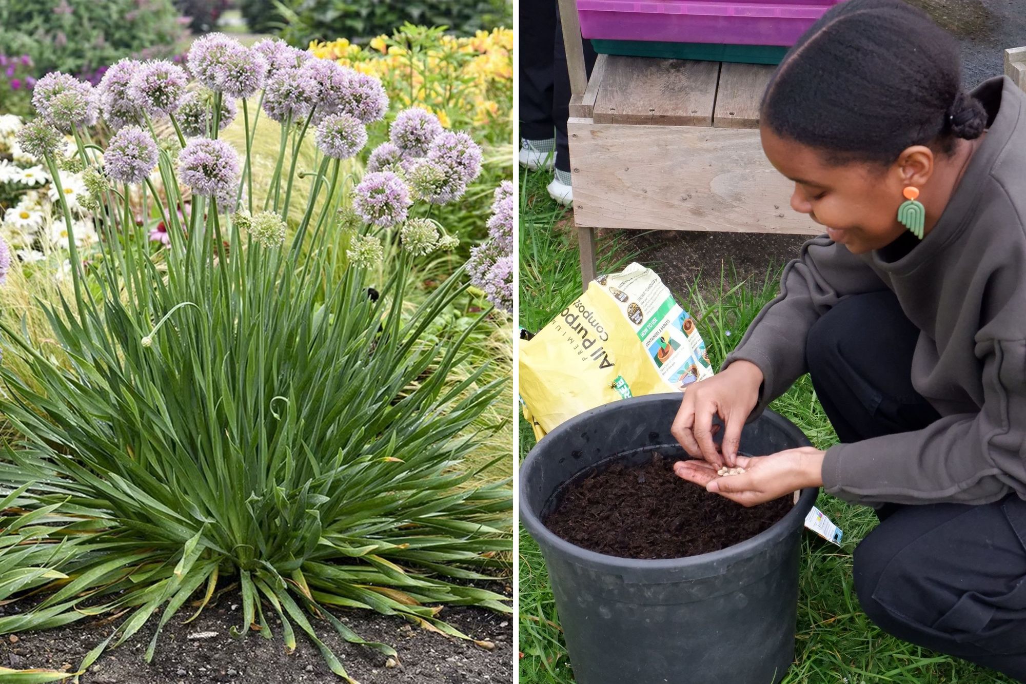 Experts say to plant these flowers and veggies in April for a lush garden  year-round | The Independent