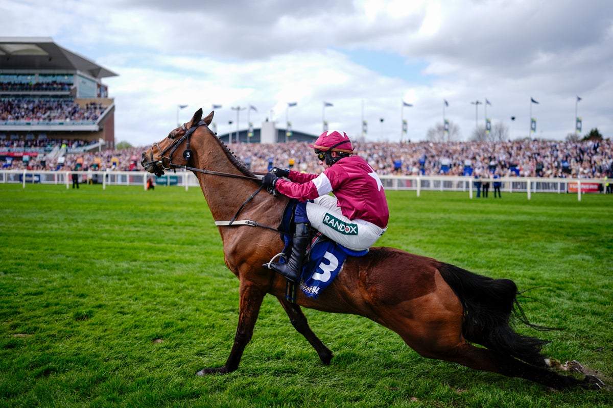 Aintree horse Gold Dancer suffers fatal injury while winning race