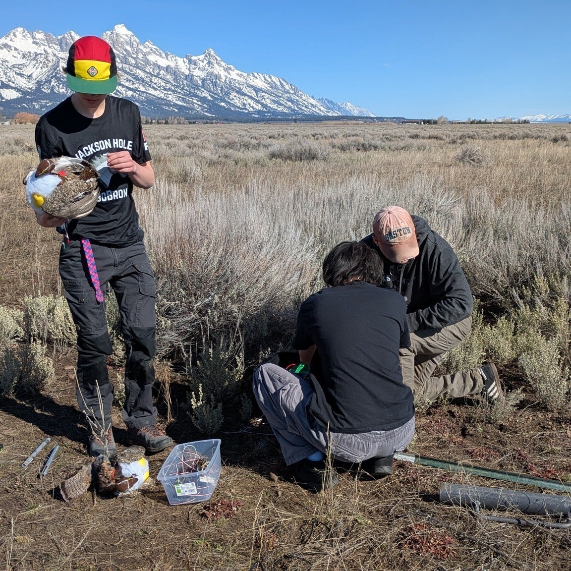Robotics mentor Gary Duquette described the robots as 'kind of a Frankenbird'