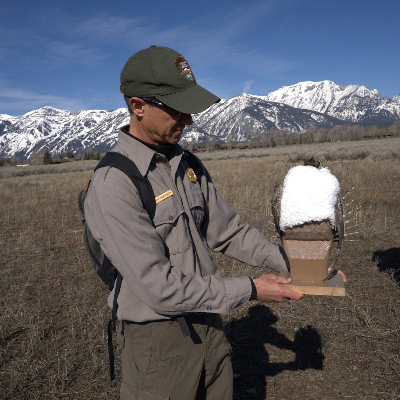 The decoys are made with realistic materials like feathers provided by the Wyoming Game and Fish Department, as well as improvised items like blankets and foam blocks