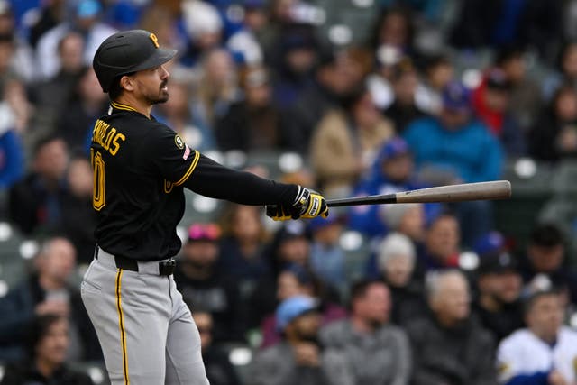 PIRATAS CACHORROS