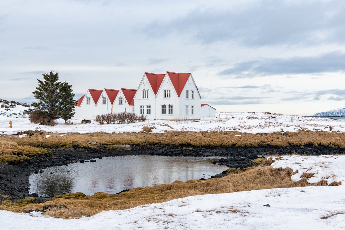 Björk to host ‘eclipse rave’ in Iceland this summer
