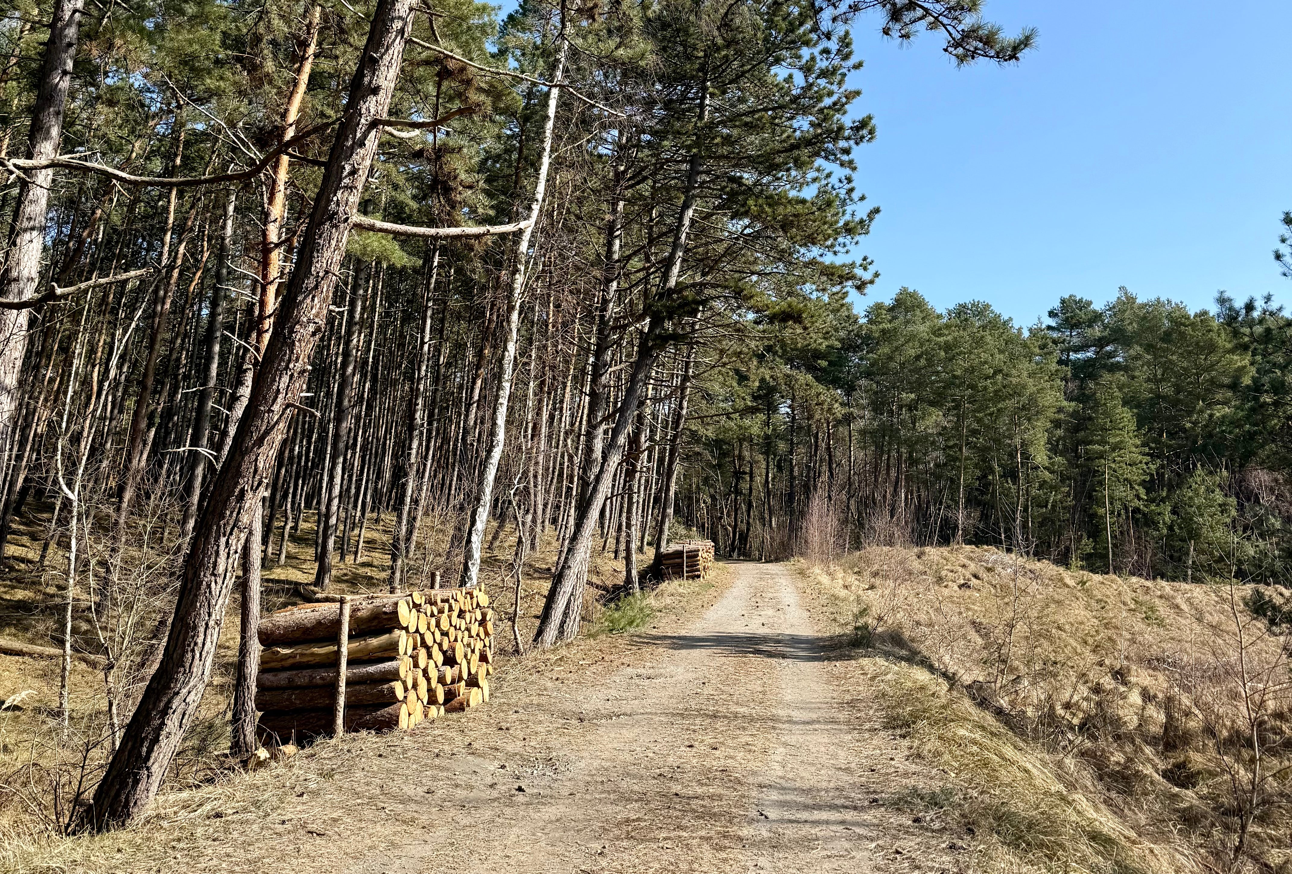 Прогулка от Пясков до границы Калининграда с Россией.