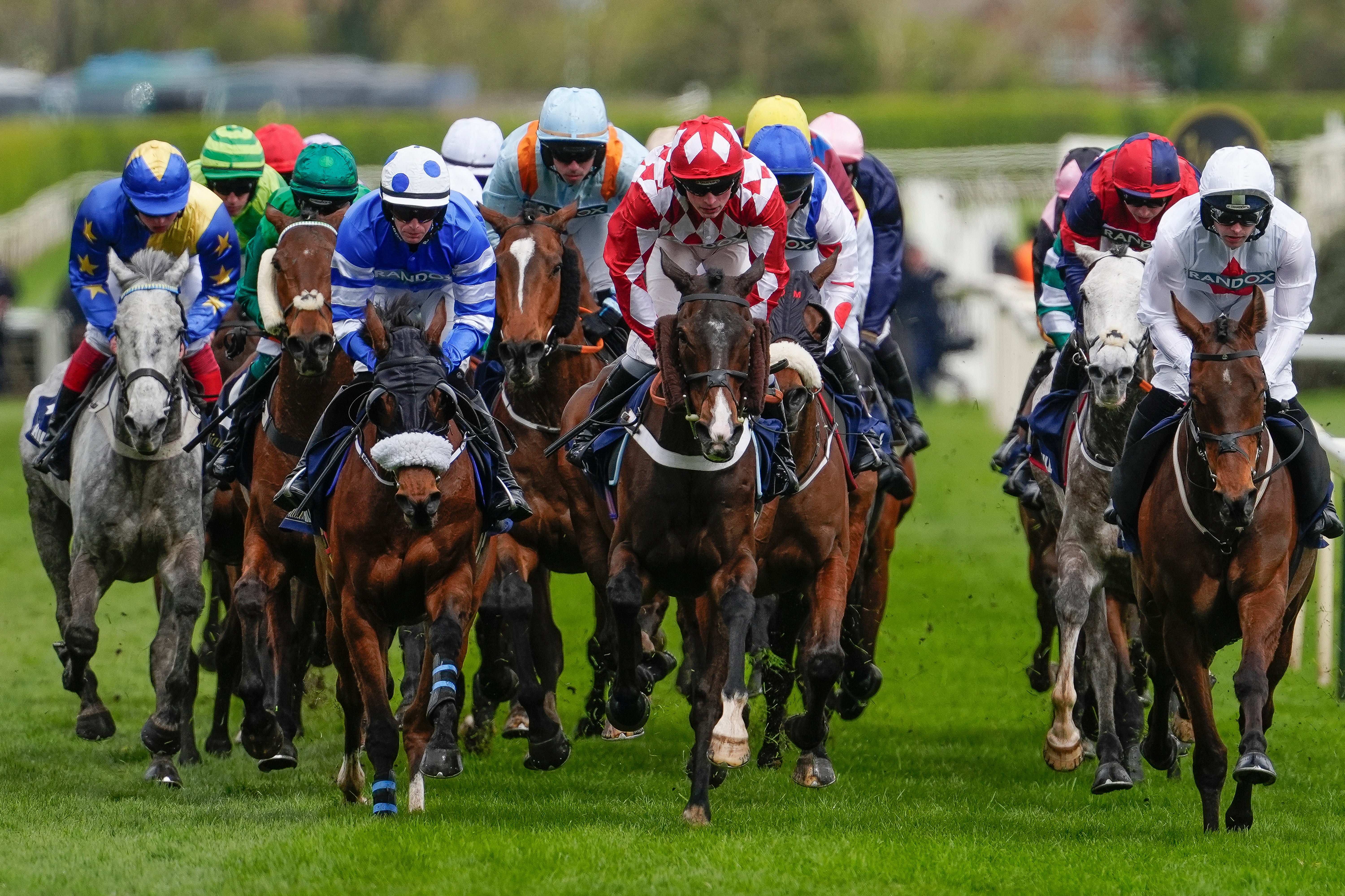 Randox Races Grand National horse tragically dies moments after pulling up during ...