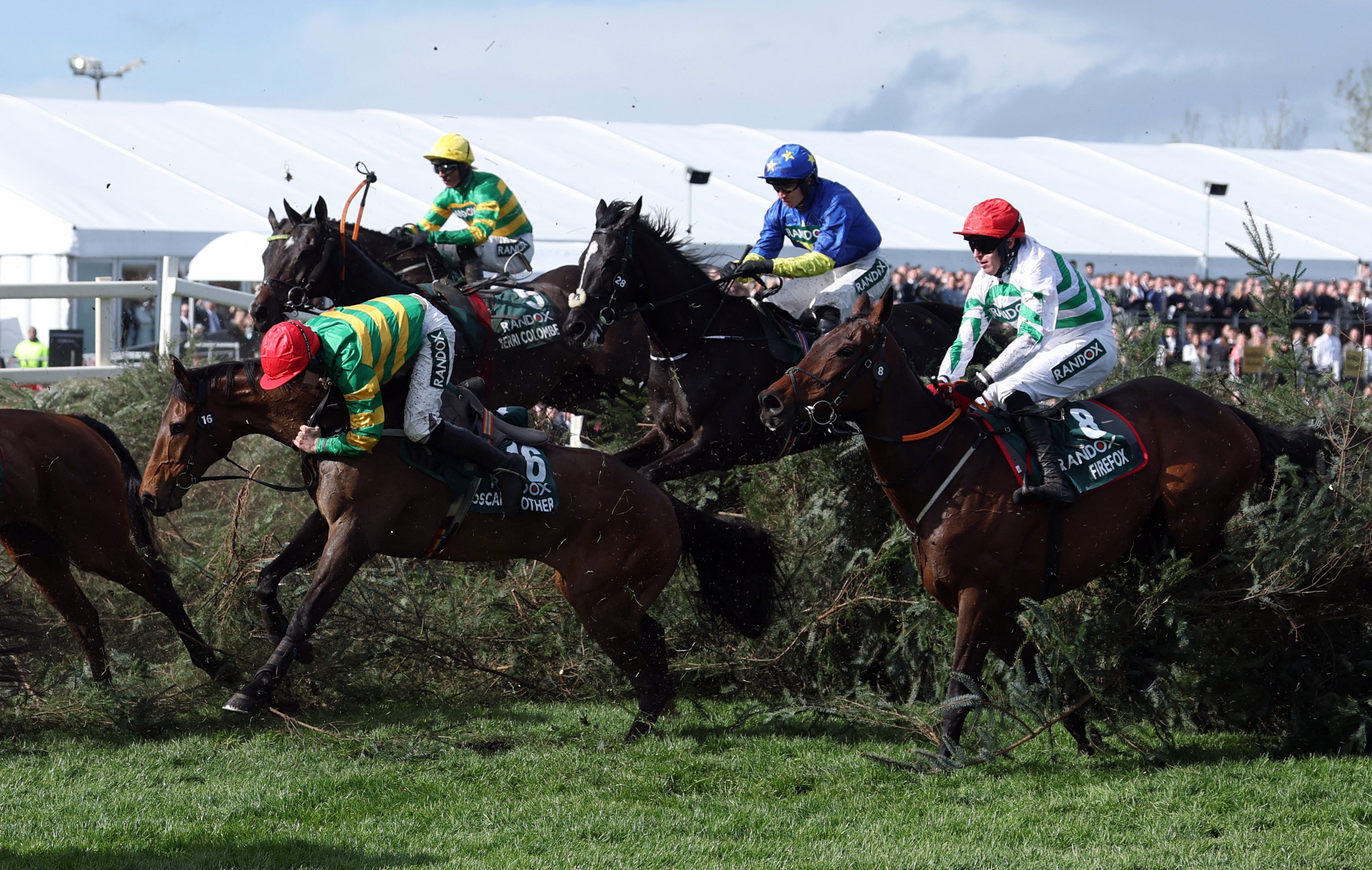 Oscars Brother ridden by Daniel King, I Am Maximus ridden by Paul Townend