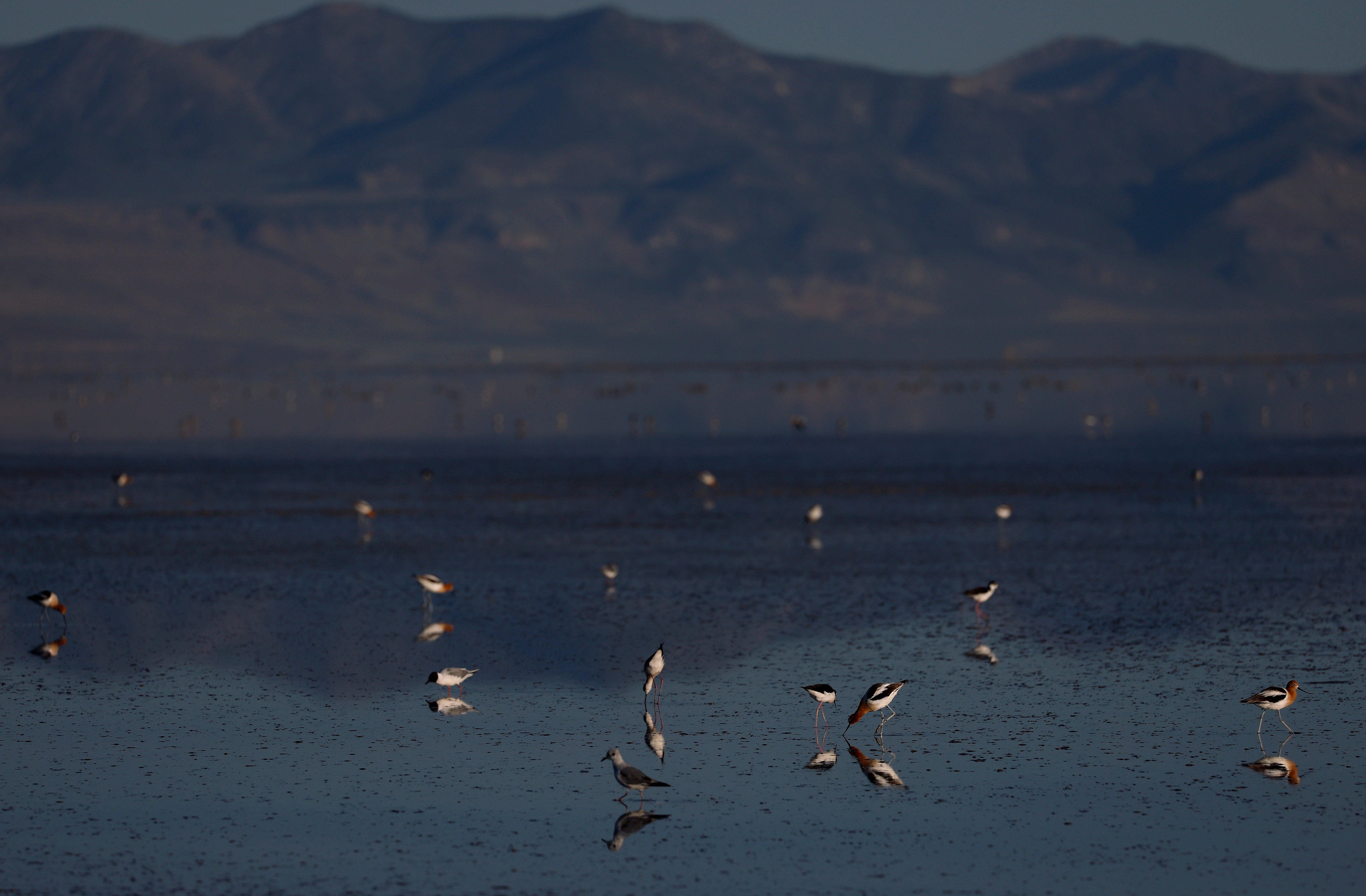 The Great Salt Lake is the largest saltwater lake in the Western Hemisphere