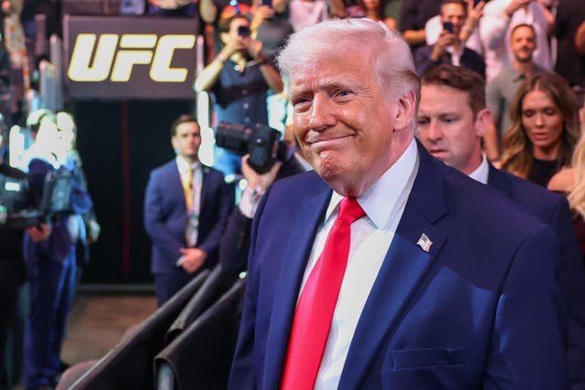 UFC 327