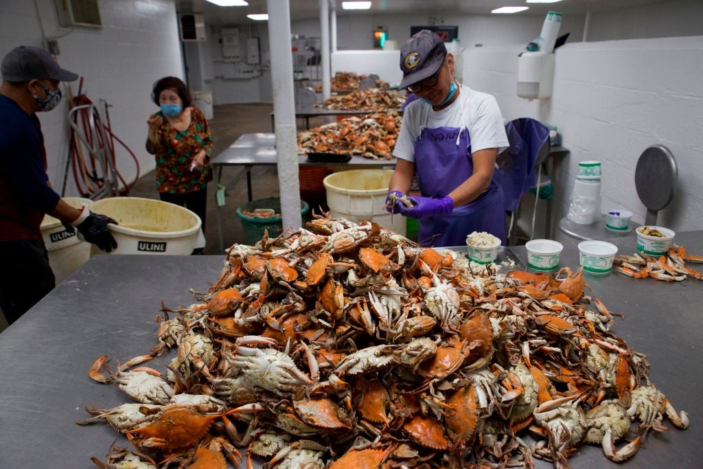 Maryland's Eastern Shore is known for its crabbing industry, which relies on H-2B visa workers every year