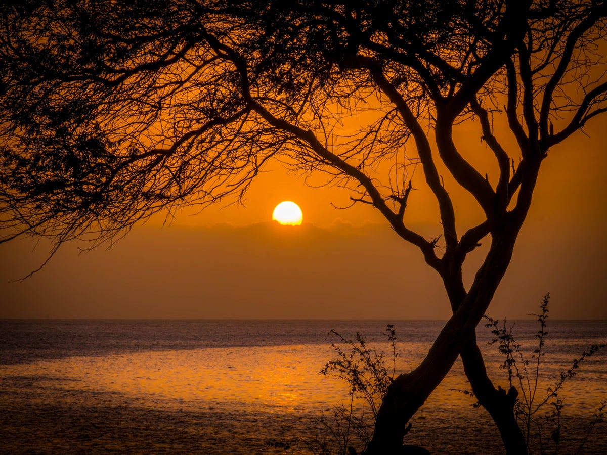 Travel Experts Share Top Summer Holiday Savings Tips