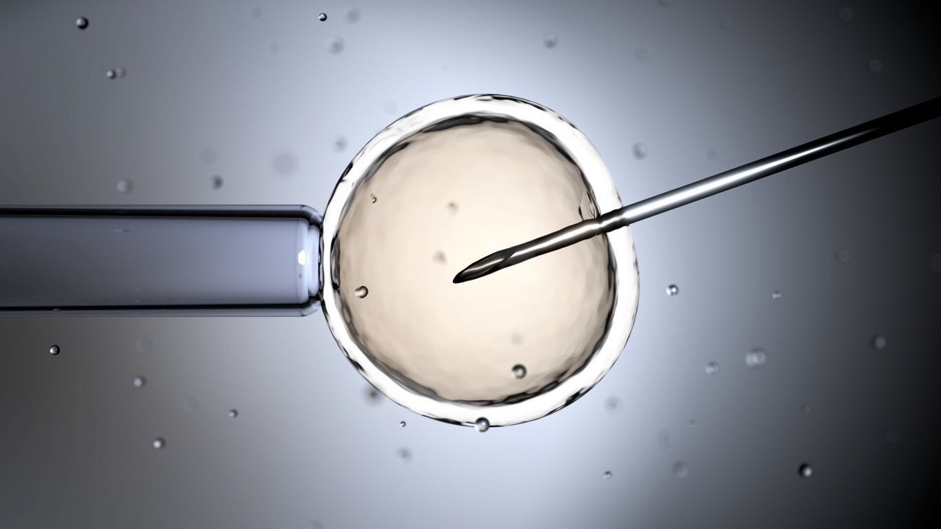 IVF patients are alleging they were misled about a type of genetic testing by two New Jersey companies, according to a series of lawsuits (Getty Images)