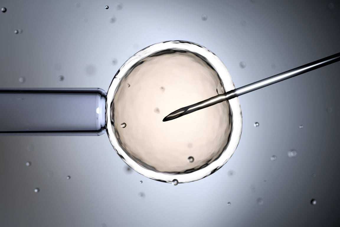 IVF births now account for roughly one child in every UK classroom (Getty/iStock)