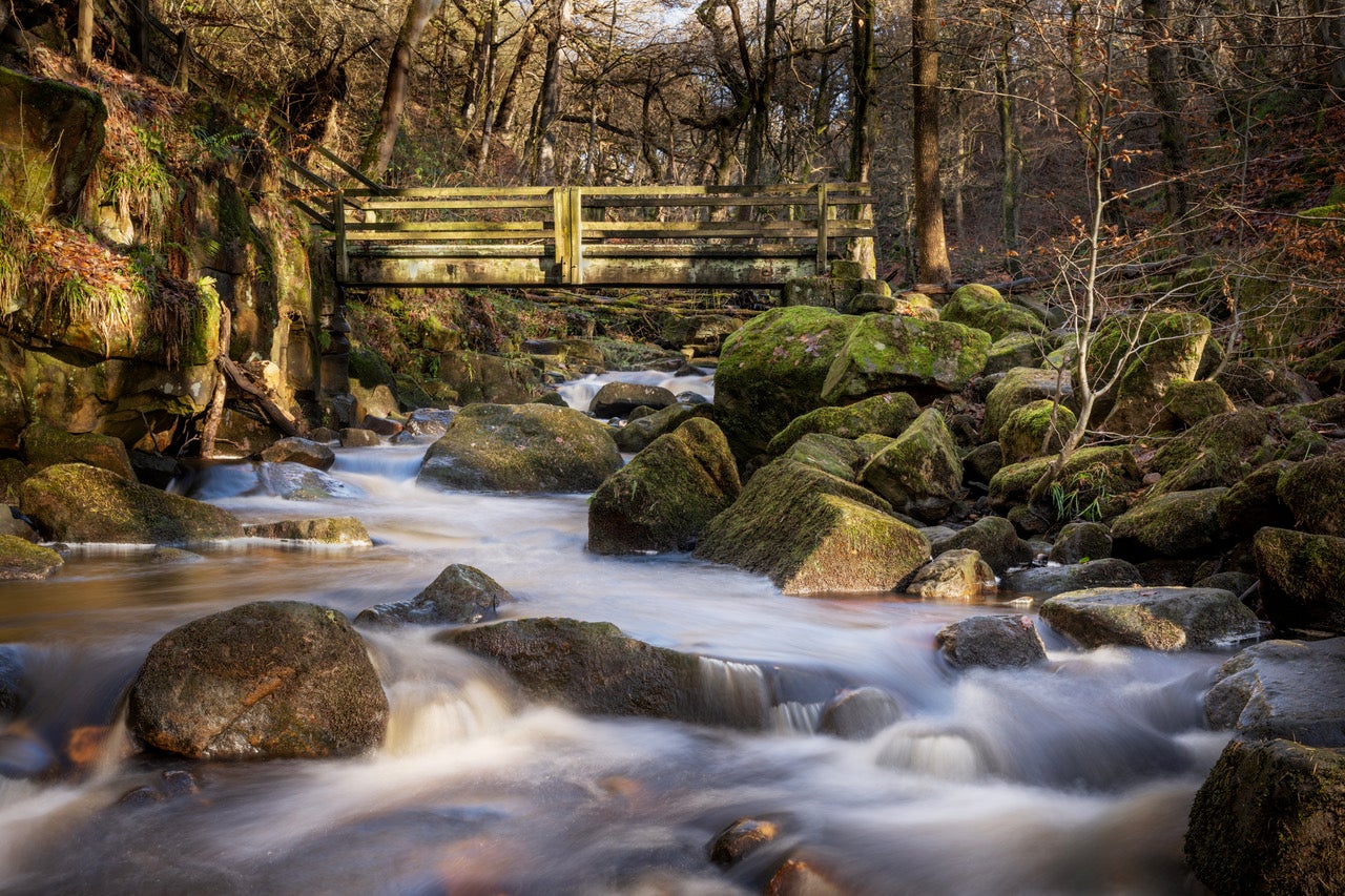 Padley Gorge makes for a remarkable afternoon walk