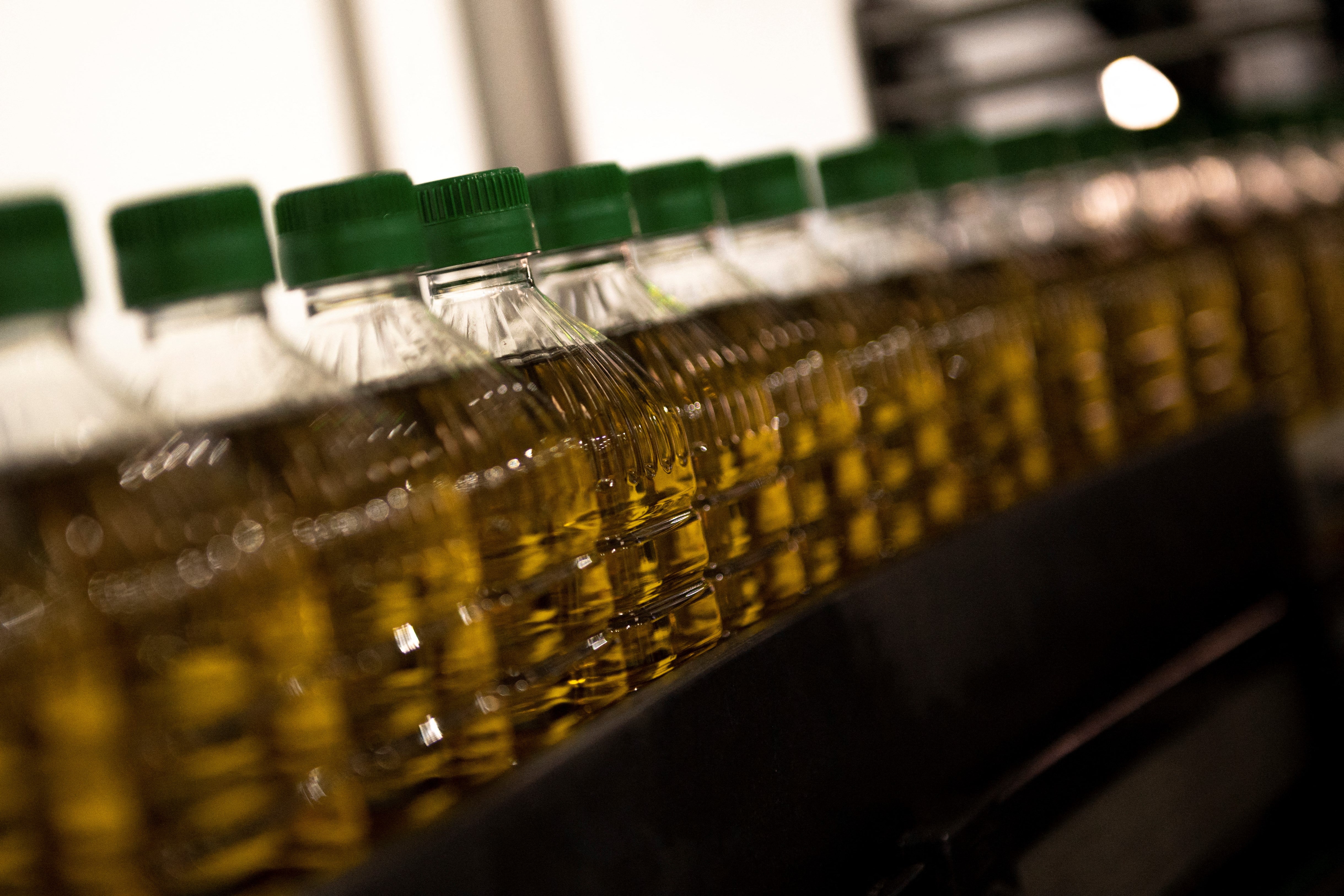 Bottles of olive oil manufactured in southern Spain, 2025
