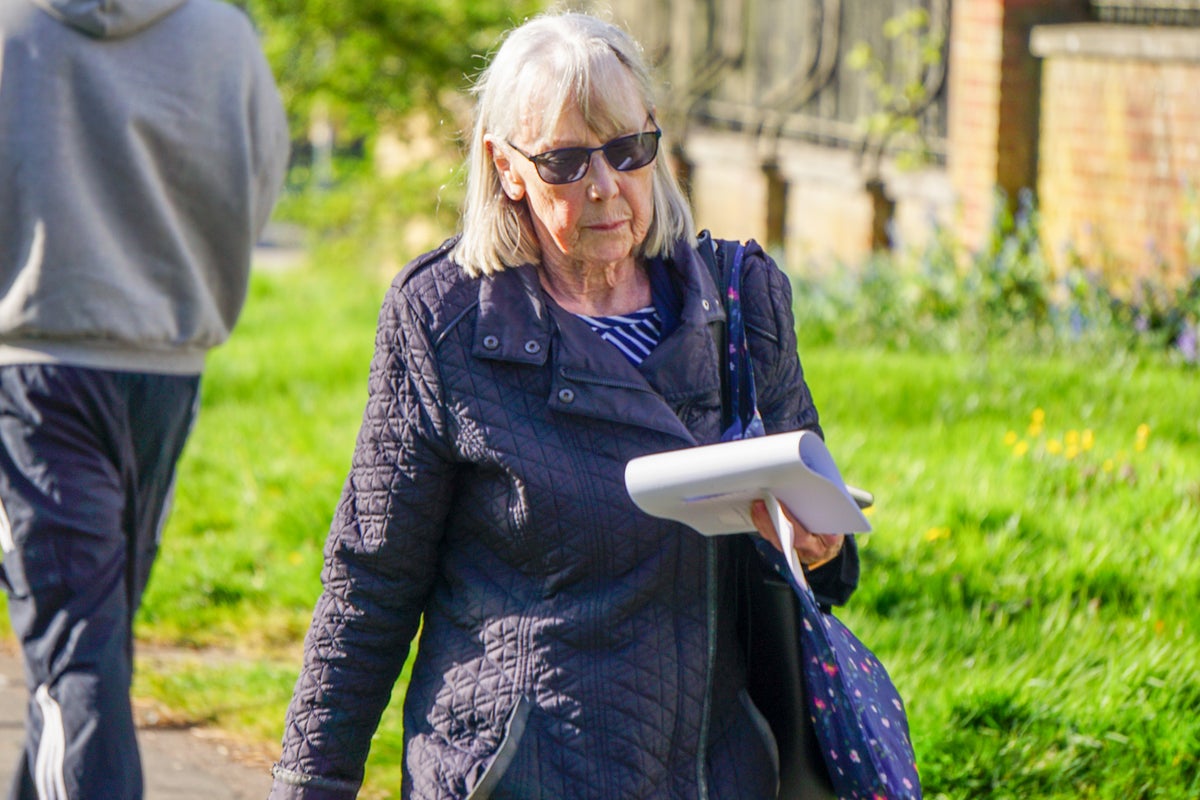 Southampton pensioner Sally Beaney accused of poisoning neighbour with ant killer in row over shared driveway