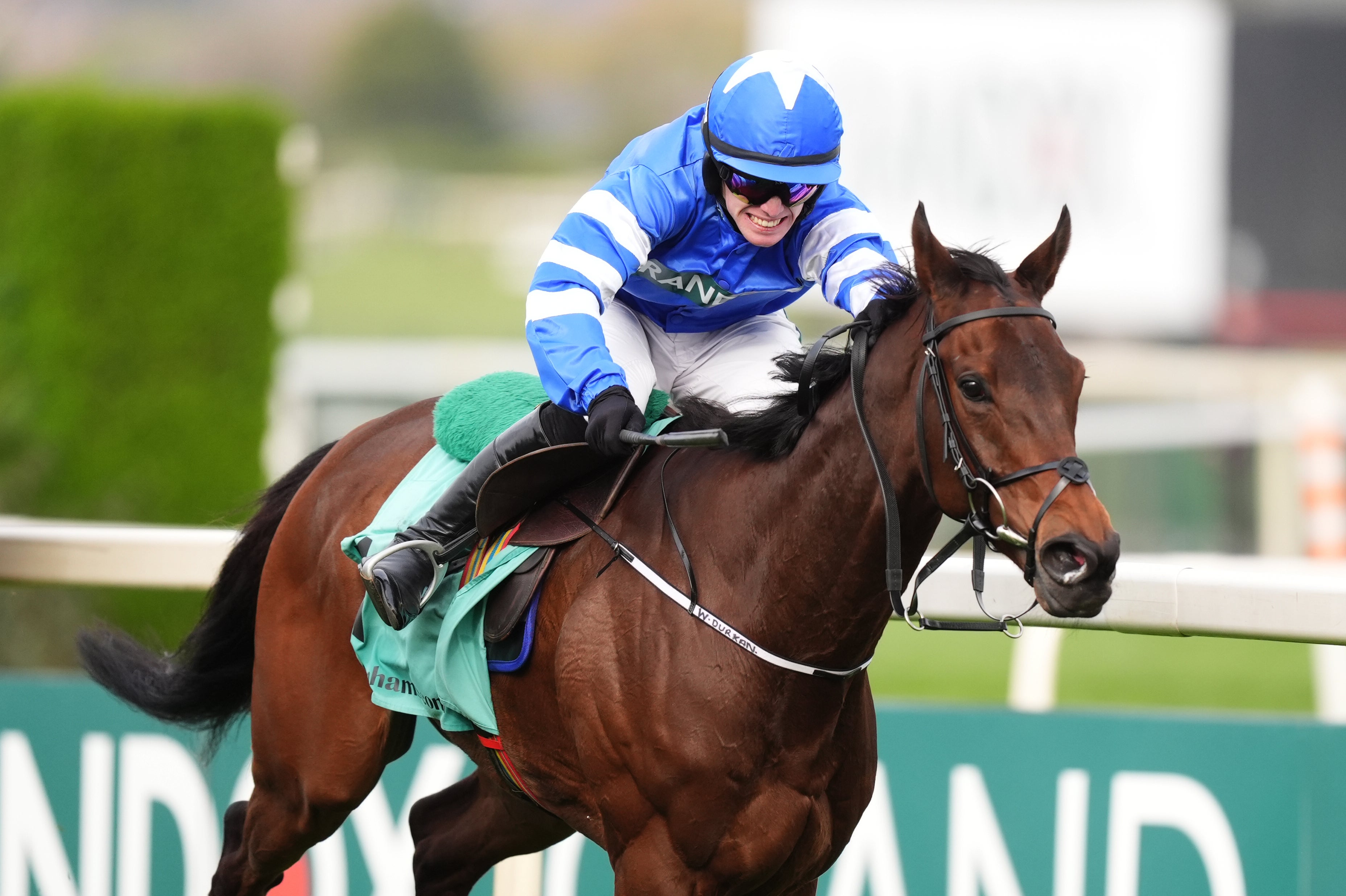 Jockey Patrick O'Brien has been suspended