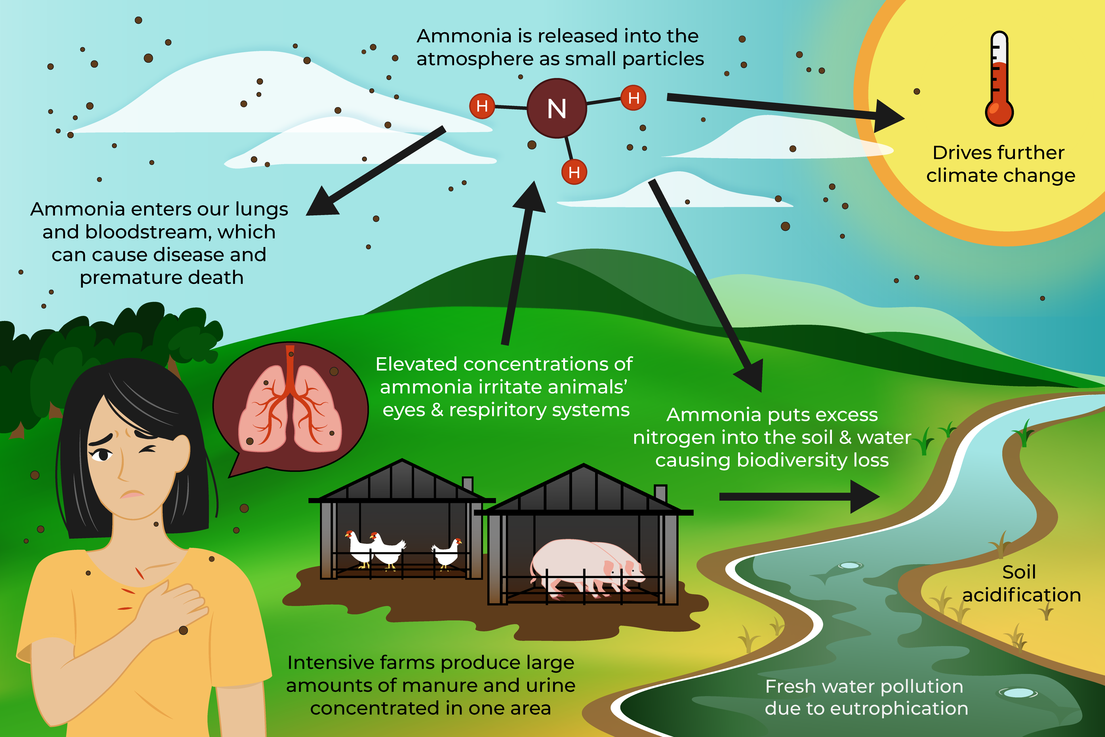 Report shows ammonia pollution impacts climate change, soil, water, animals and people