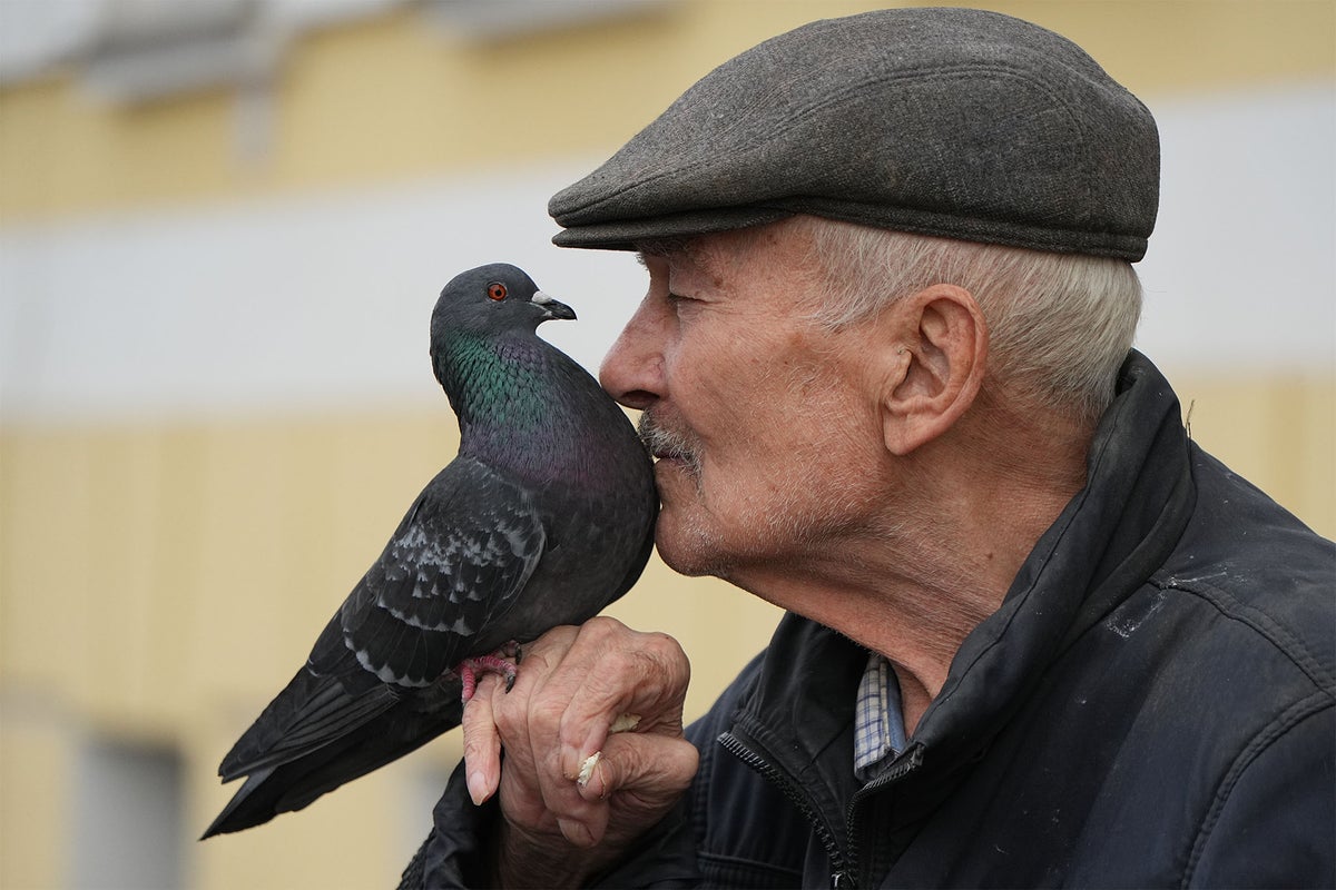Urban birds are more scared of women than men - but scientists don’t know why