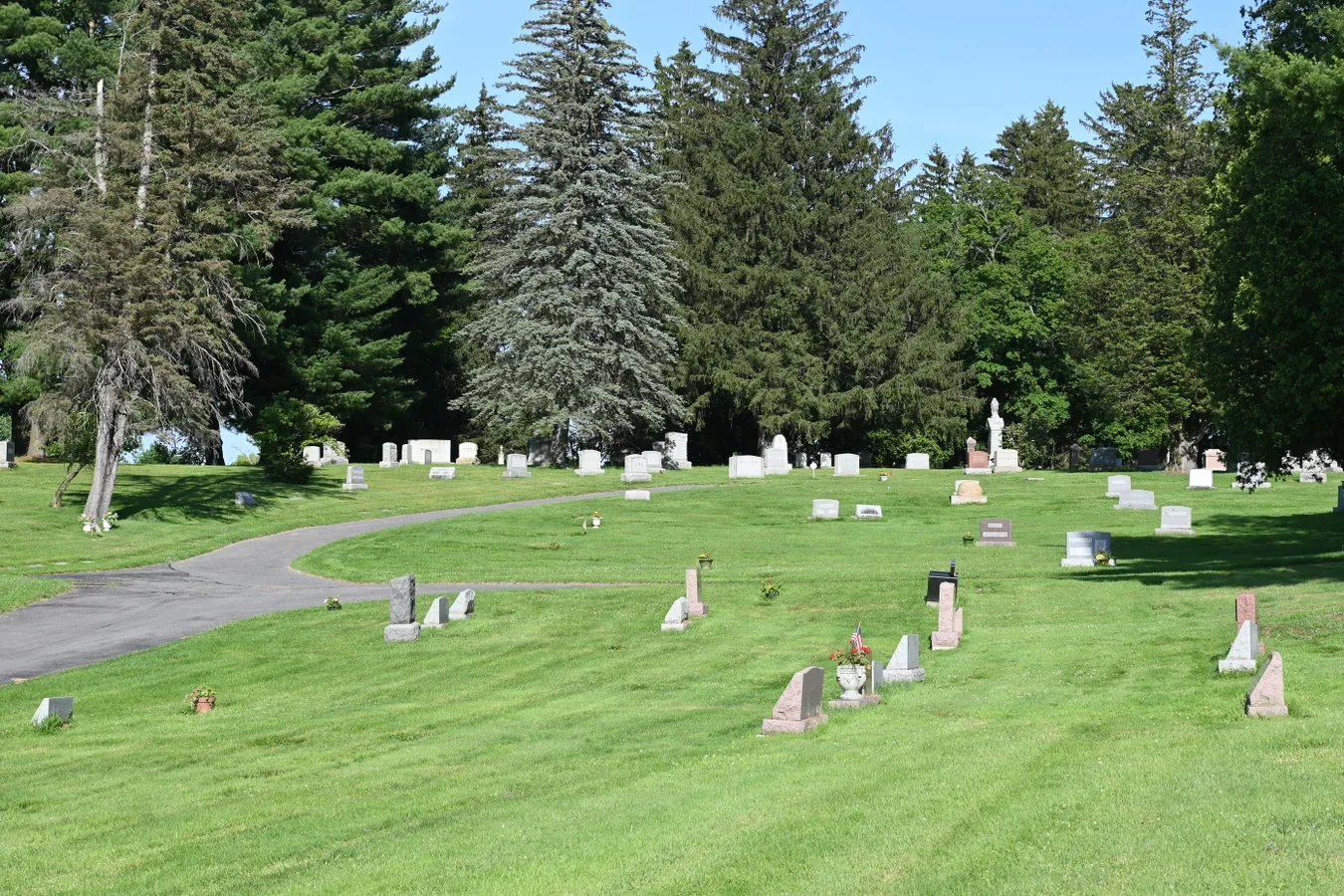 East Lawn Cemetery's undisturbed soil, minimal pesticide use and rarely disturbed ground create ideal nesting conditions, researchers said