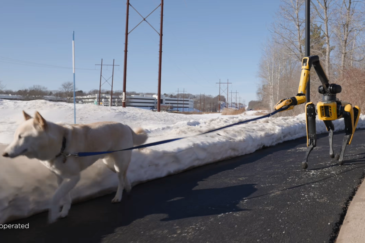 New AI-powered robot dog can perform household chores independently