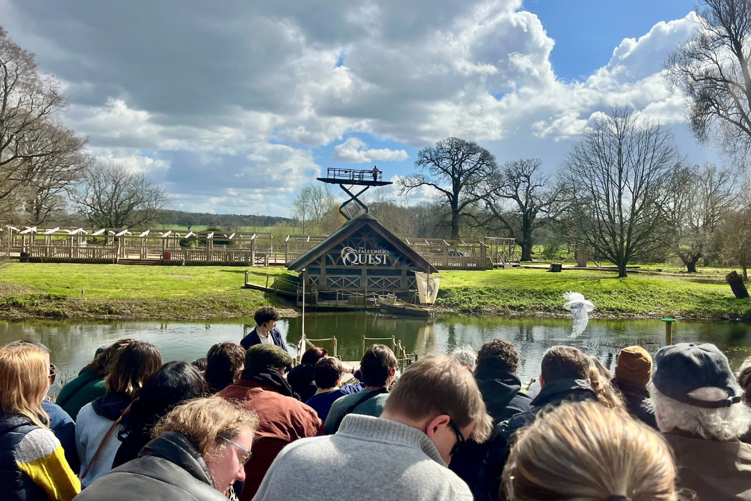Watch the UK’s largest birds of prey display