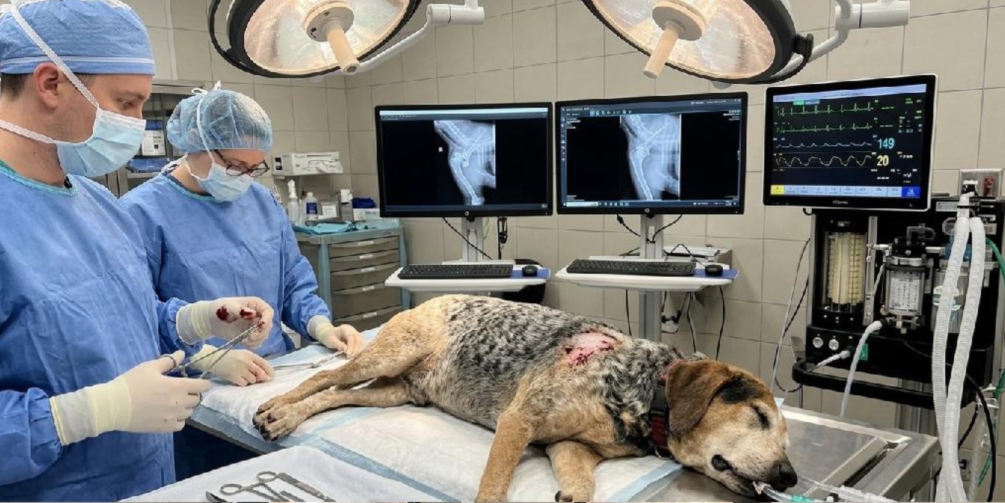 The family noticed inconsistencies in the AI dog's fur, as well as the pictured X-ray, dated 2022
