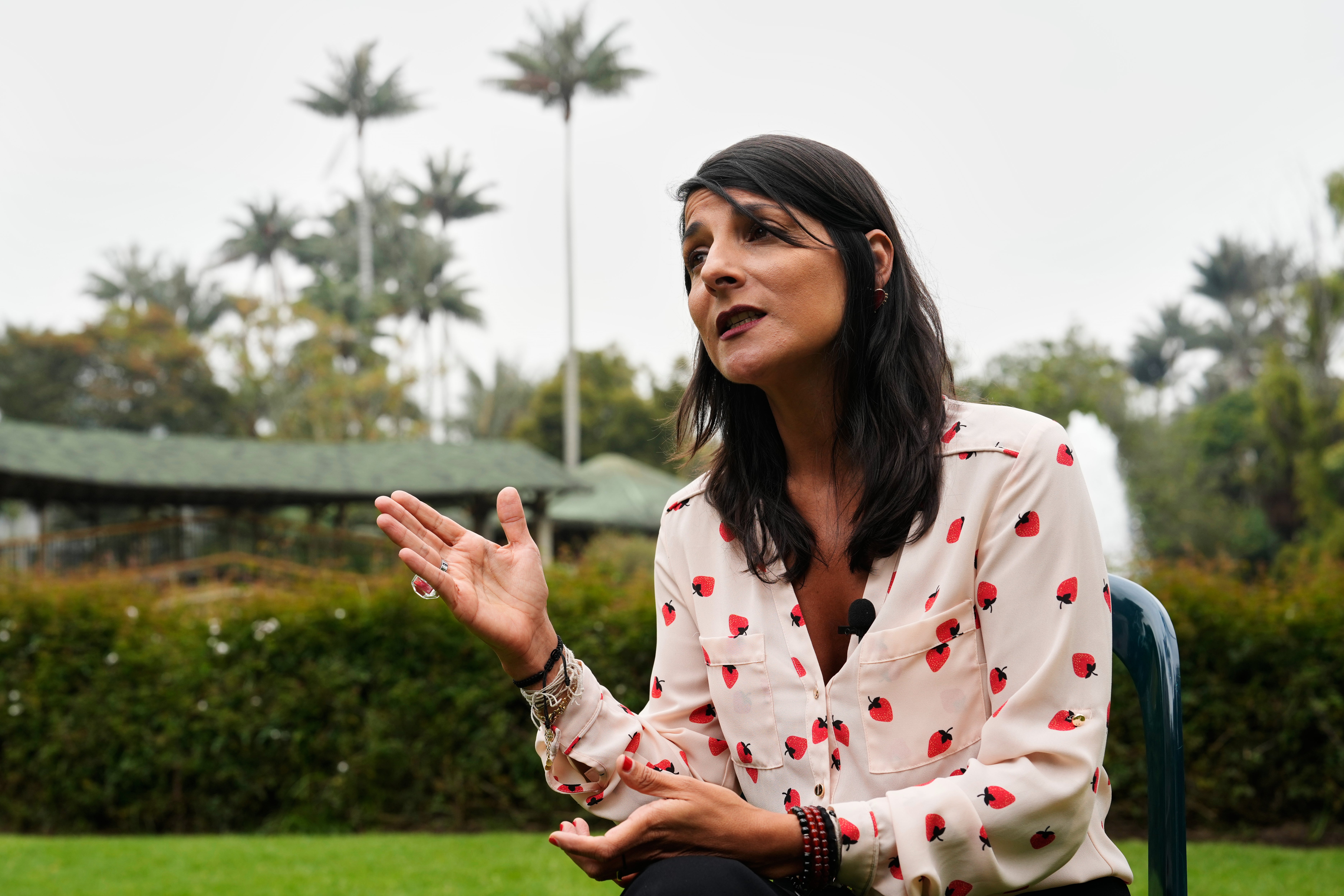 independent.co.uk - Steven Grattan - Colombia's environment minister says Middle East crisis should speed energy transition