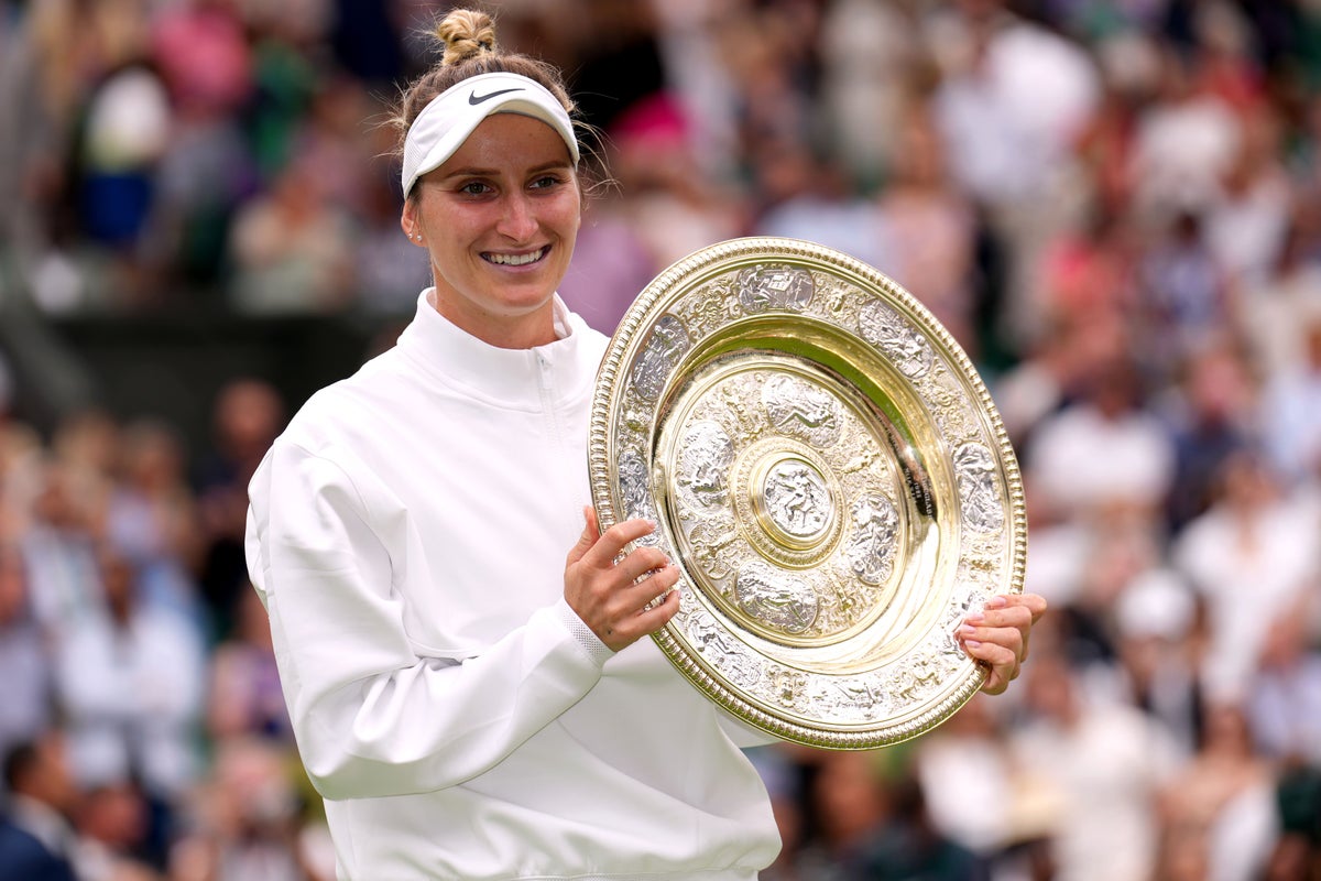 Ex-Wimbledon champion Vondrousova says mental stress led to doping incident