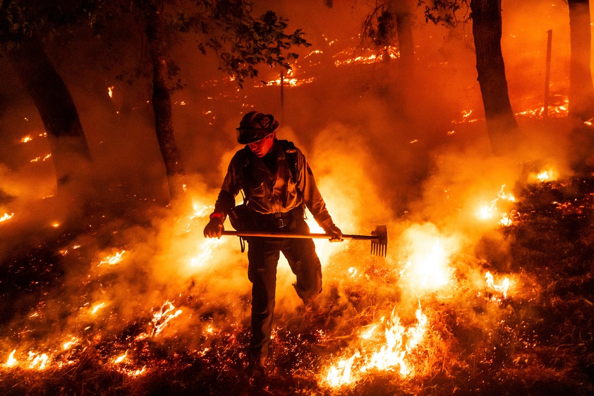 Wildfires used to 'go to sleep' at night. Climate change has them burning overtime