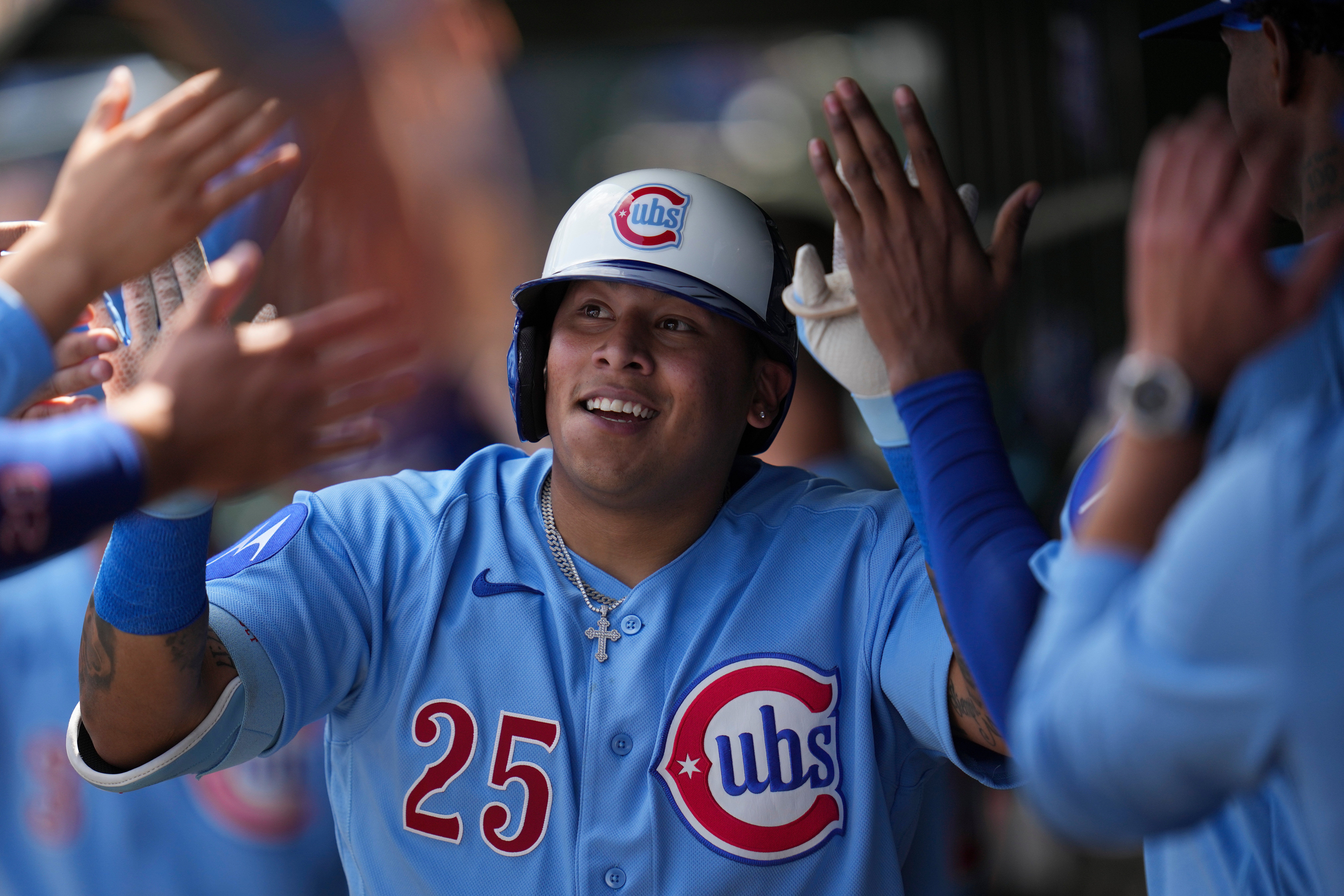 METS-CACHORROS