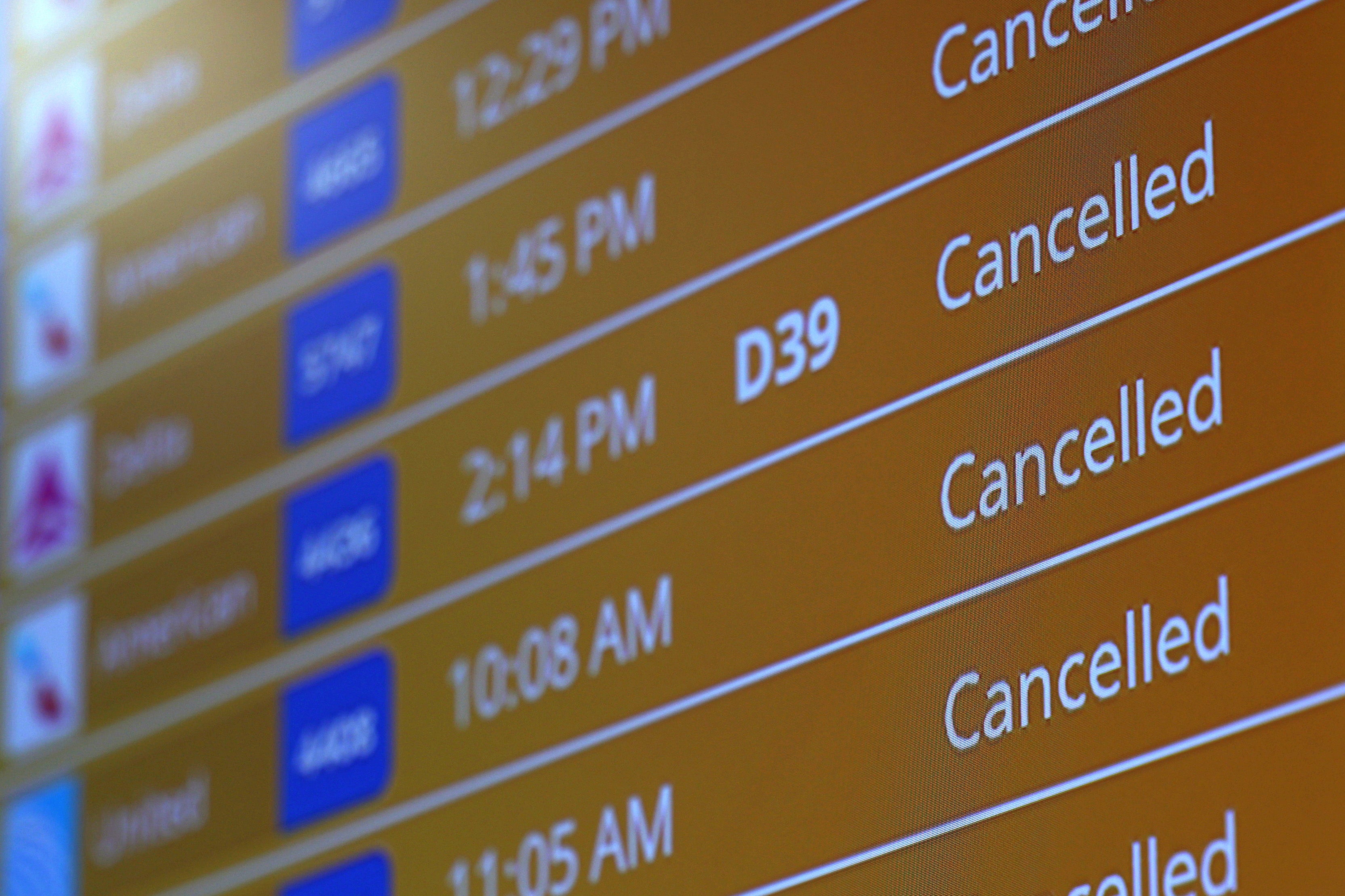 One travel expert advised Spirit customers not to cancel their booked flights if the airline does liquidate ‘because then you forfeit your right to a refund if there's still some money left over to be able to do so’