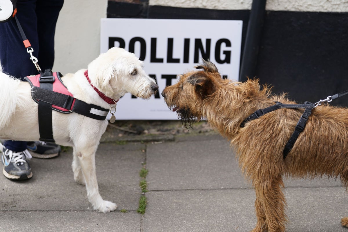 Local elections 2026: What time will results be announced and is there an exit poll?