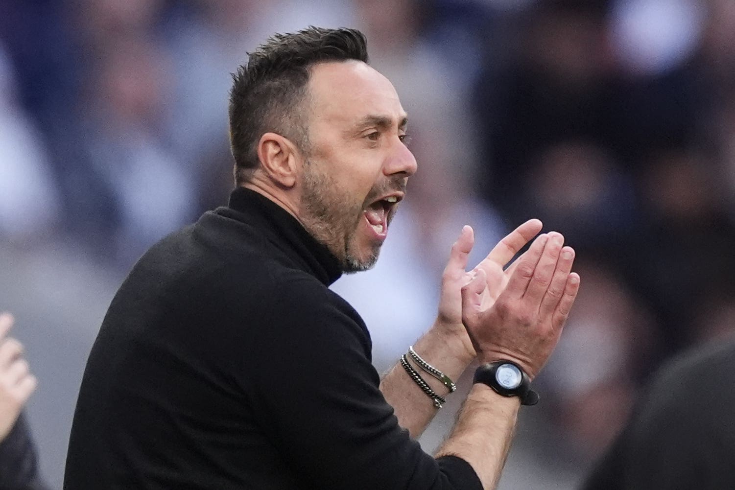 Tottenham - the Premier League