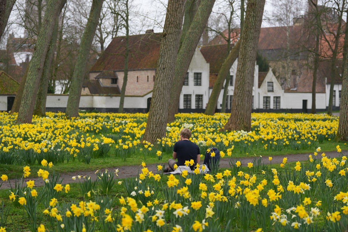 Belgium’s Beguinages: Tranquil oases in a world of noise and distraction – UK Times