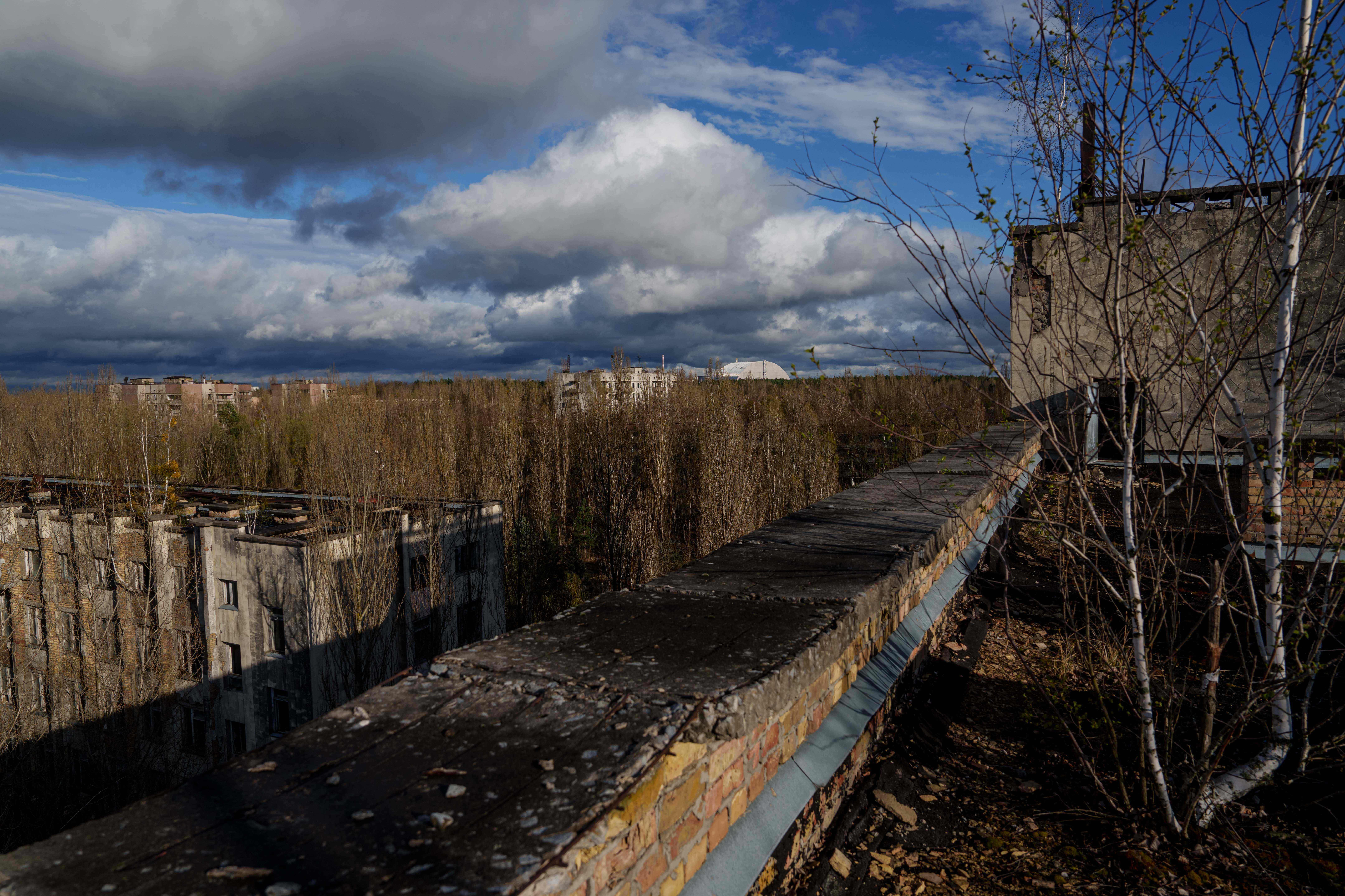 Abandoned houses are seen overgrown with vegetation at the Chernobyl exclusion zone in Prypiat, Ukraine, Monday, April 6, 2026. Chornobyl is the Ukrainian name for the city. (AP Photo/Evgeniy Maloletka)