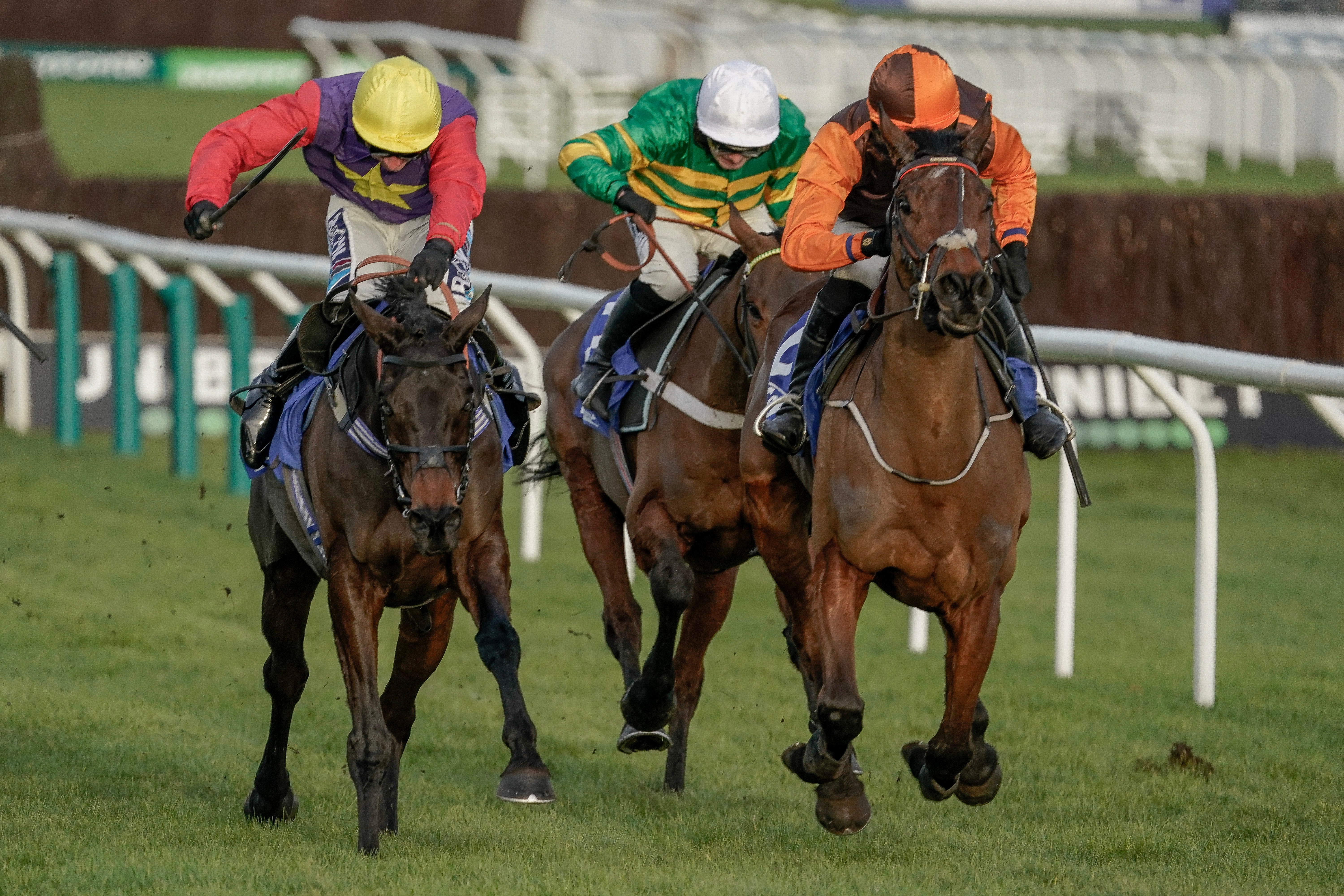 Harry Cobden riding Noble Yeats at Cheltenham