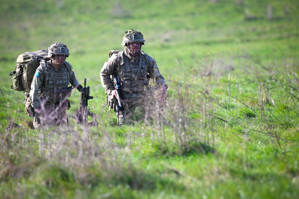 British soldiers issued emoji advice in new guidance - The Independent