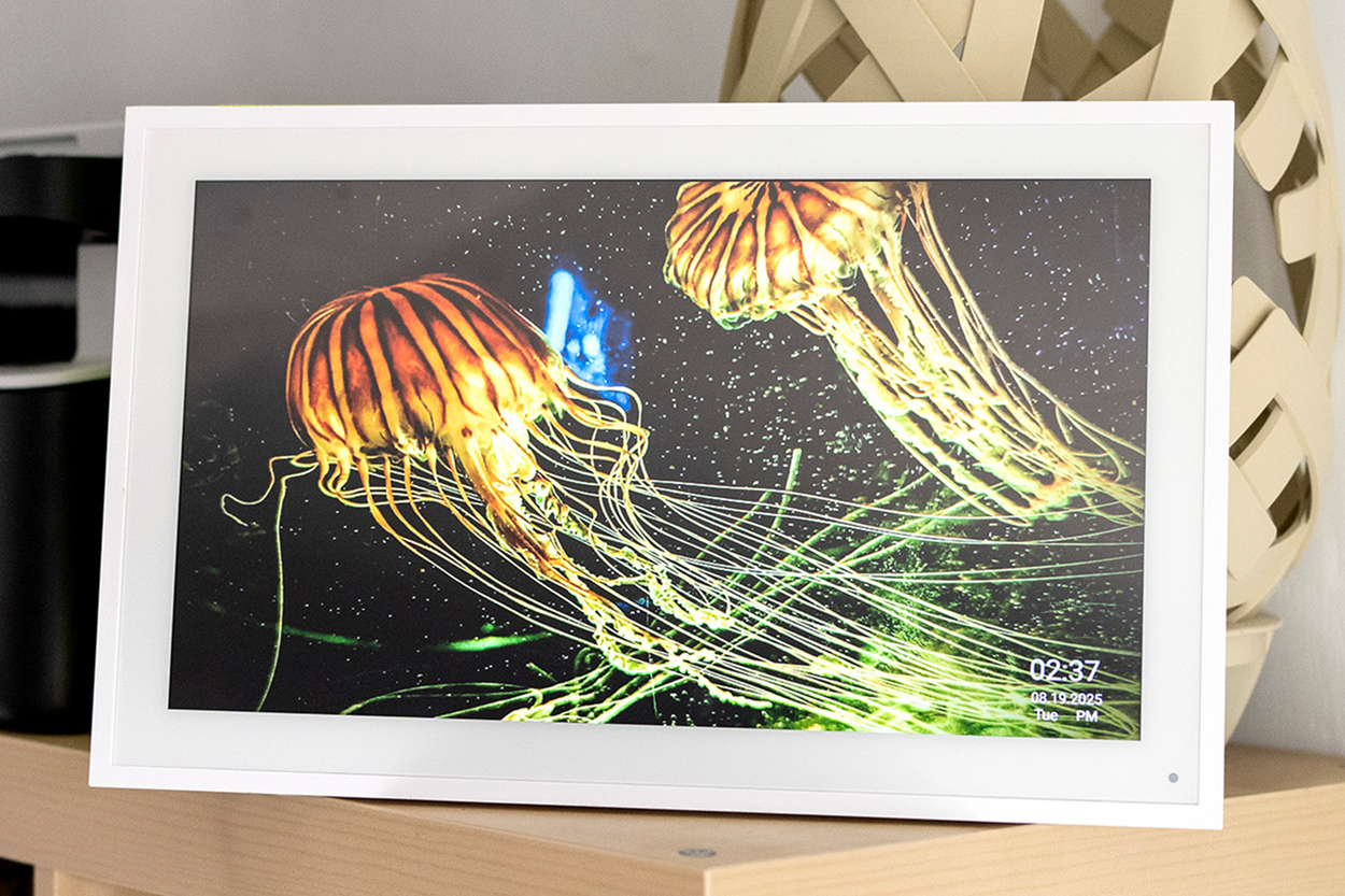 Best digital photo frames for 2026, tried and tested | The Independent