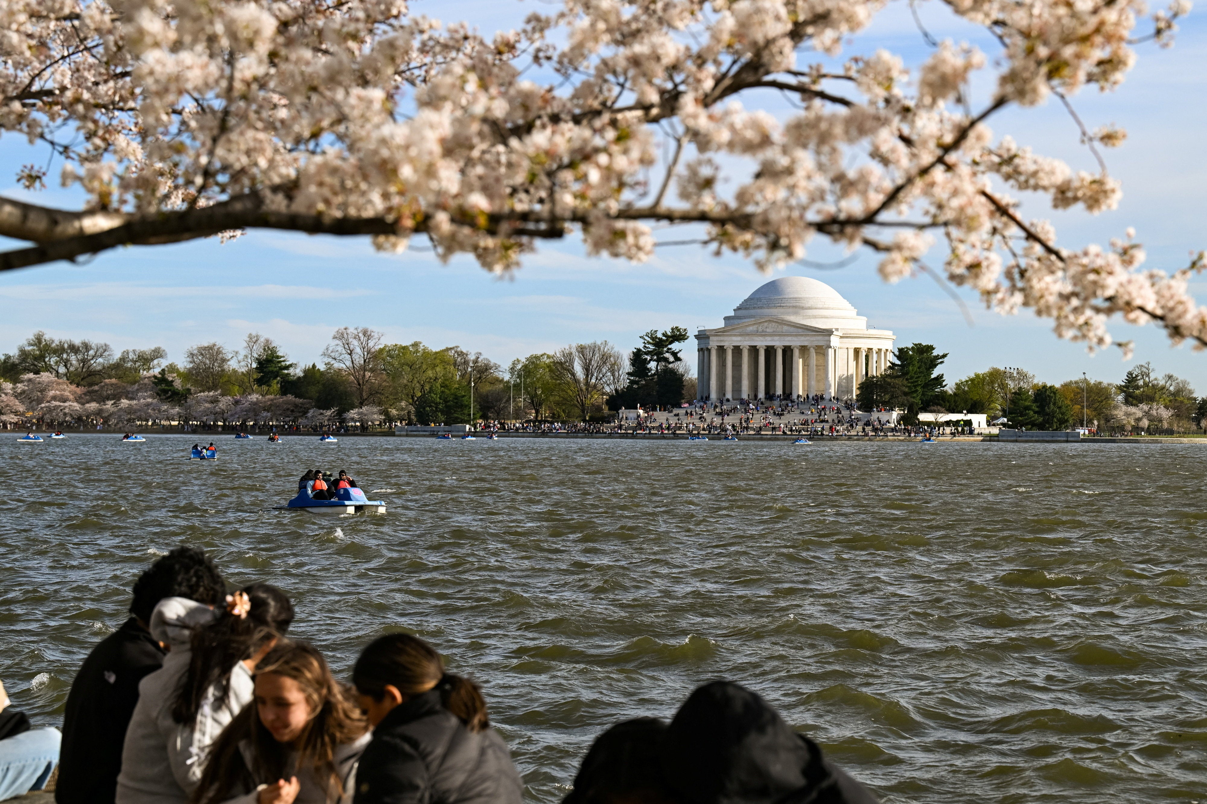 Trump officials are considering placing the sculpture garden in West Potomac Park, which houses the Jefferson Memorial and several other landmarks