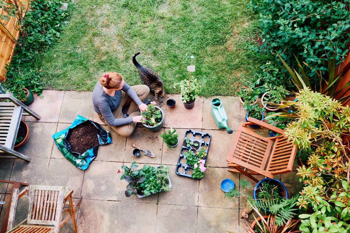 How to future-proof your garden for a maintenance-free summer