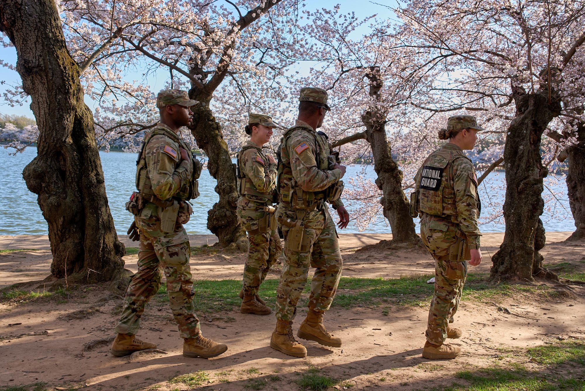Members of the Mississippi National Guard patrol among the cherry blossom trees along the tidal basin, March 24, 2026, in Washington