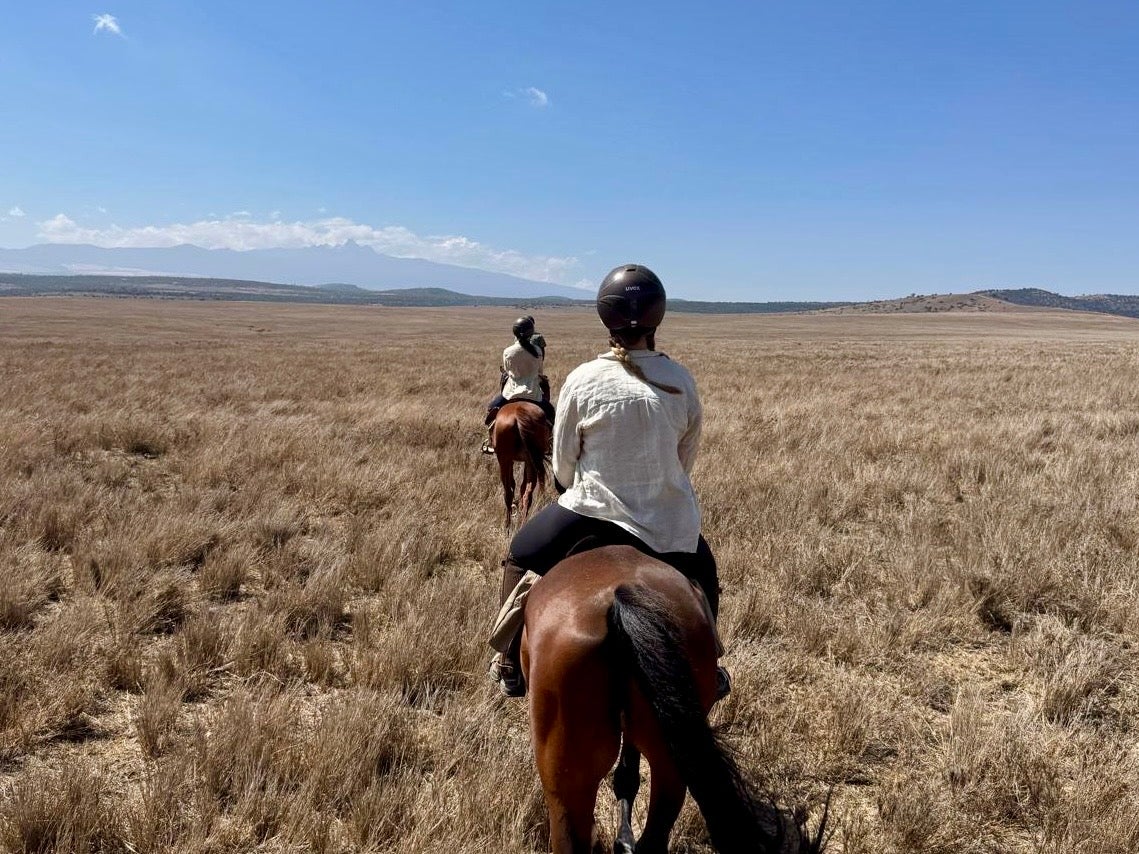 Pippin on the savannah